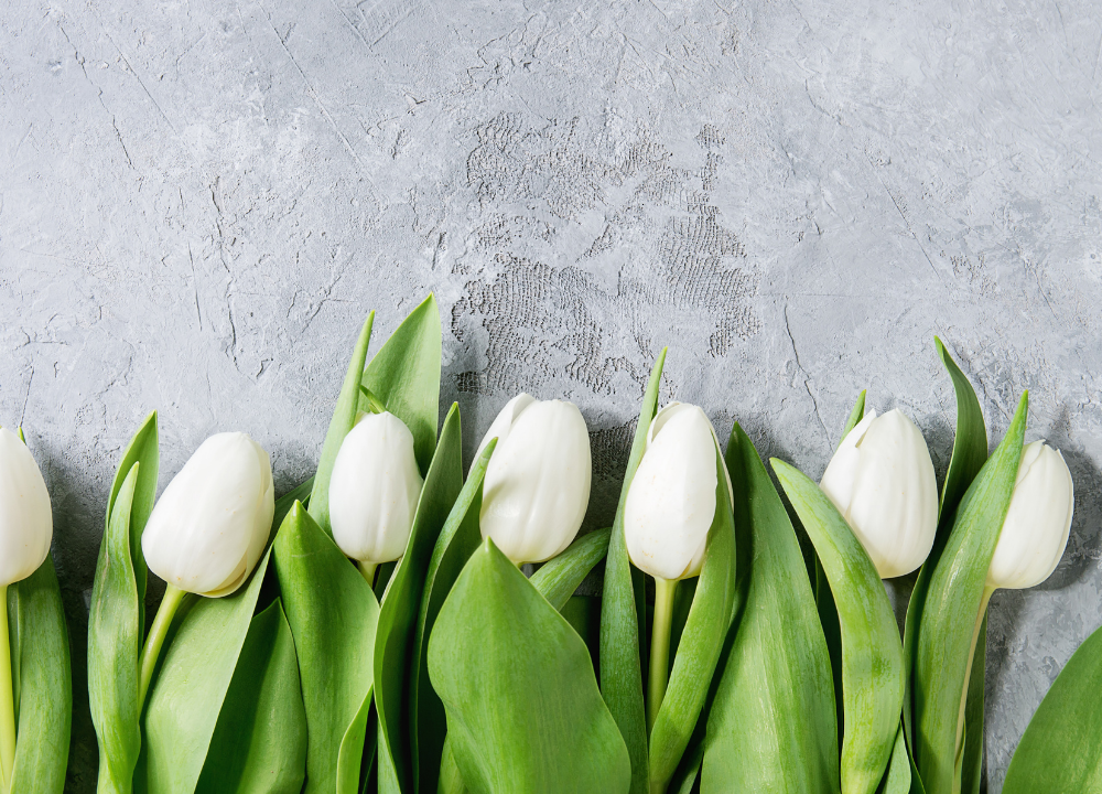 10 Jewellery Gift Ideas for Mum this Mothers Day