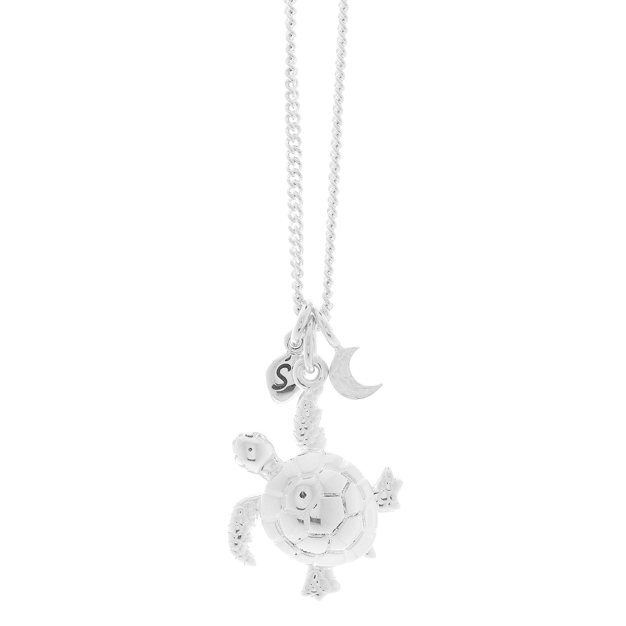 silver turtle moon and pebble necklace 360 view