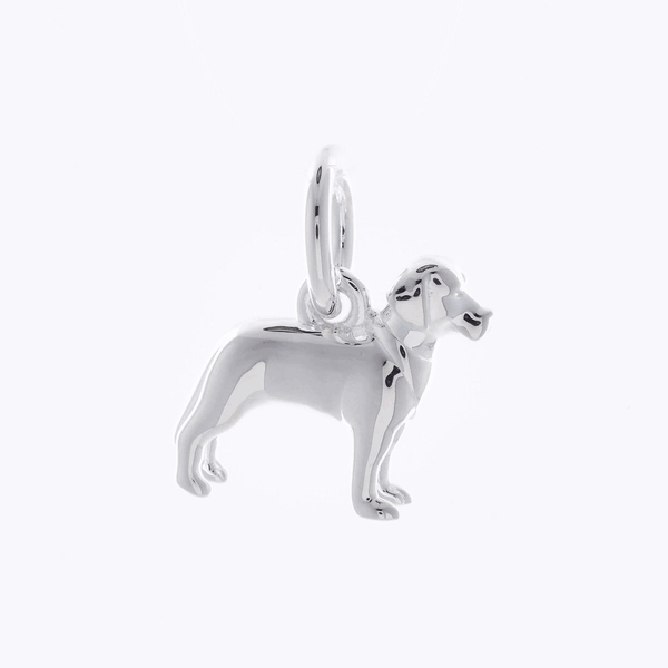 Pandora 2025 labrador charm