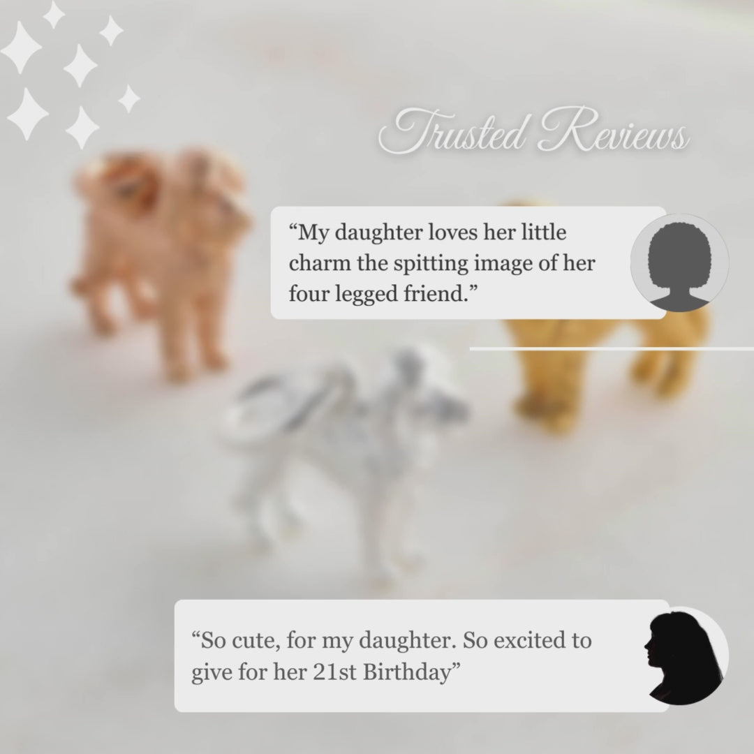 Load video: Labradoodle Silver Dog Charm