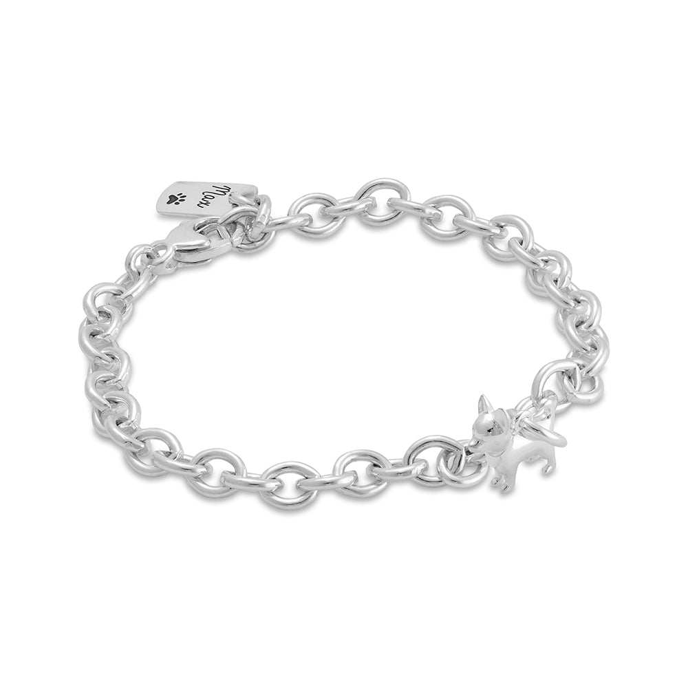 chihuahua silver charm bracelet with personalised engraved dog tag scarlett jewellery