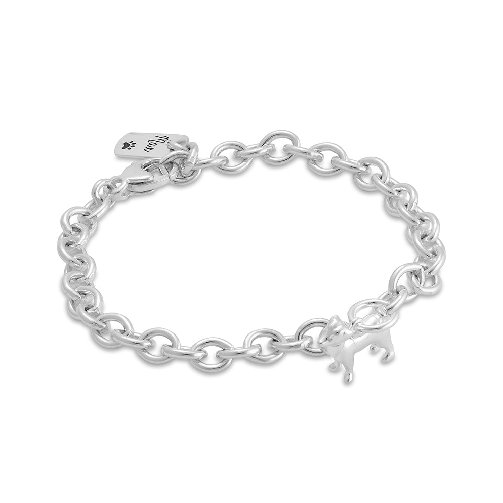 jack russell silver charm bracelet with personalised engraved dog tag scarlett jewellery