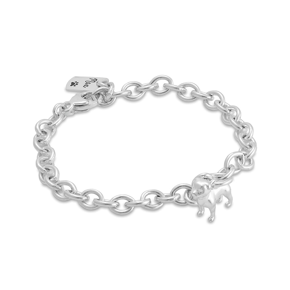 staffy silver charm bracelet with personalised engraved dog tag scarlett jewellery