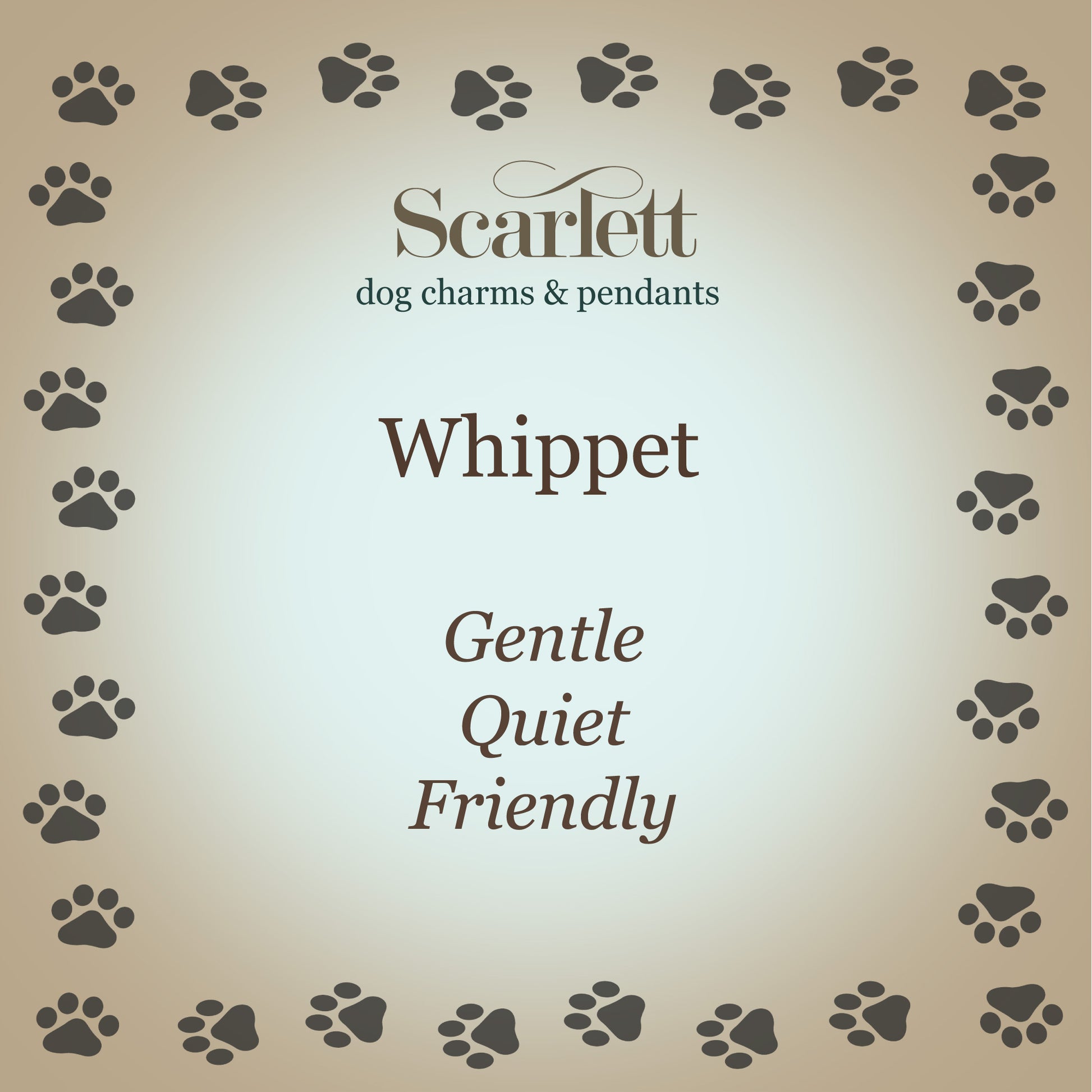 whippet personality traits