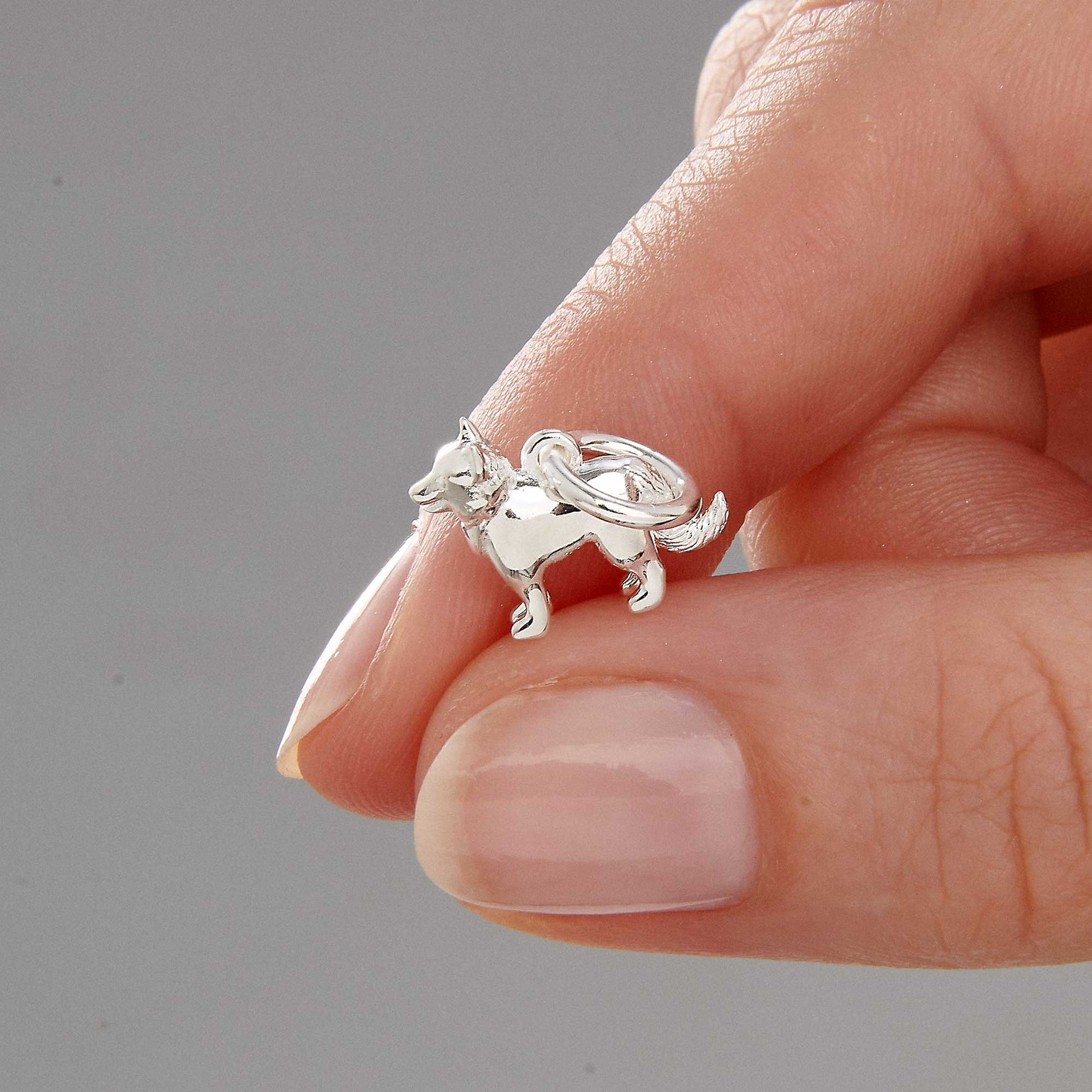 Border Collie breed solid sterling silver dog charm for bracelet fits links of london pandora dog charmsScarlett Jewellery Ltd