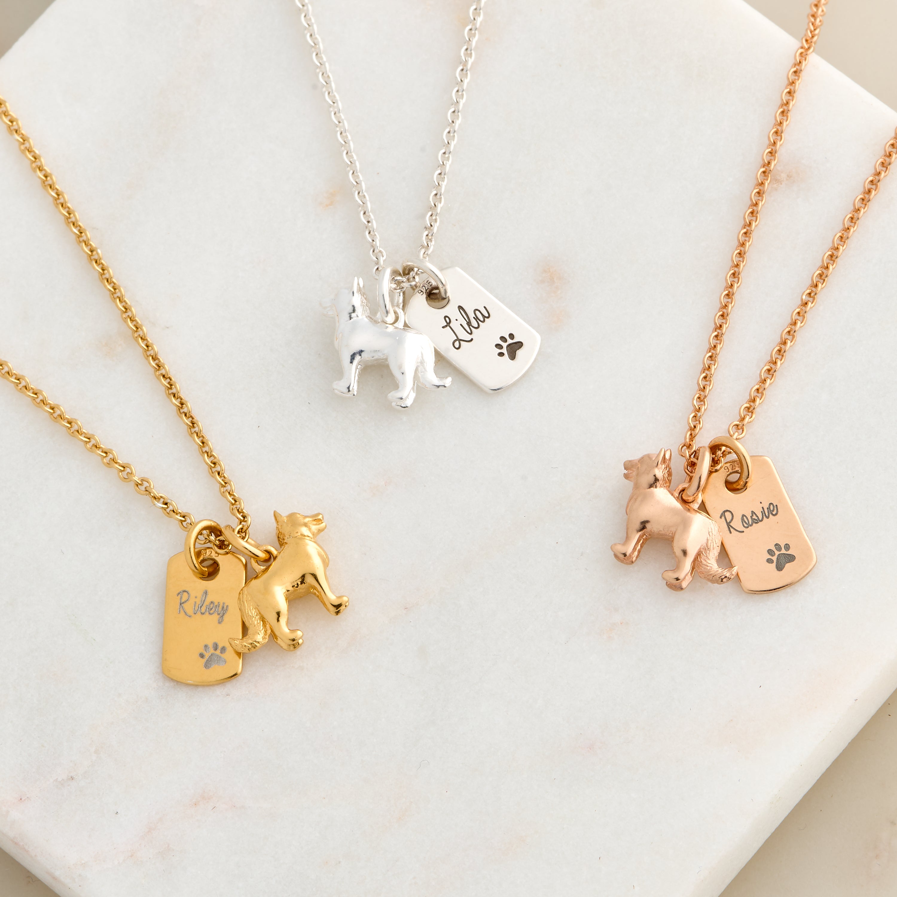 Collier d'étiquette de chien en argent personnalisé Border Collie