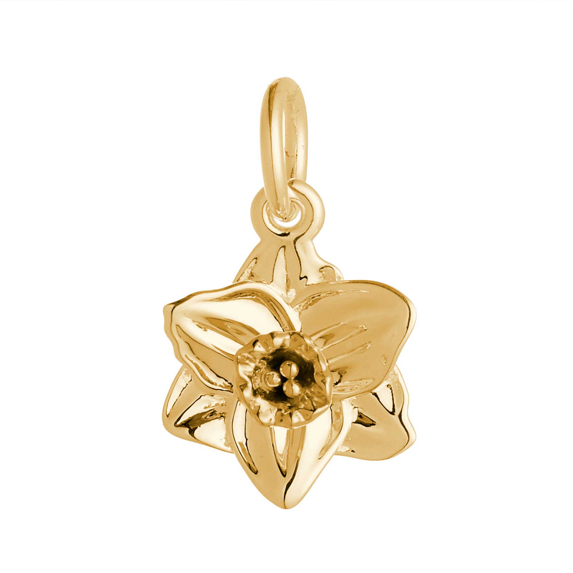 march birth flower charm daffodil narcissus jonquil