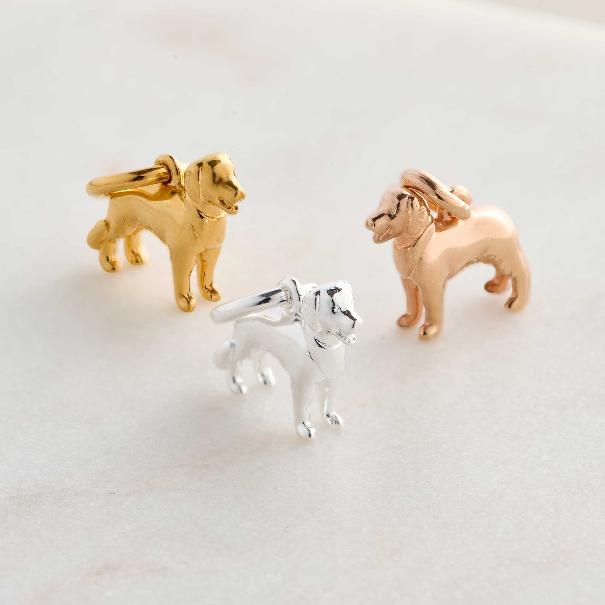 golden retriever silver gold rose gold dog charms scarlett jewellery brighton hove