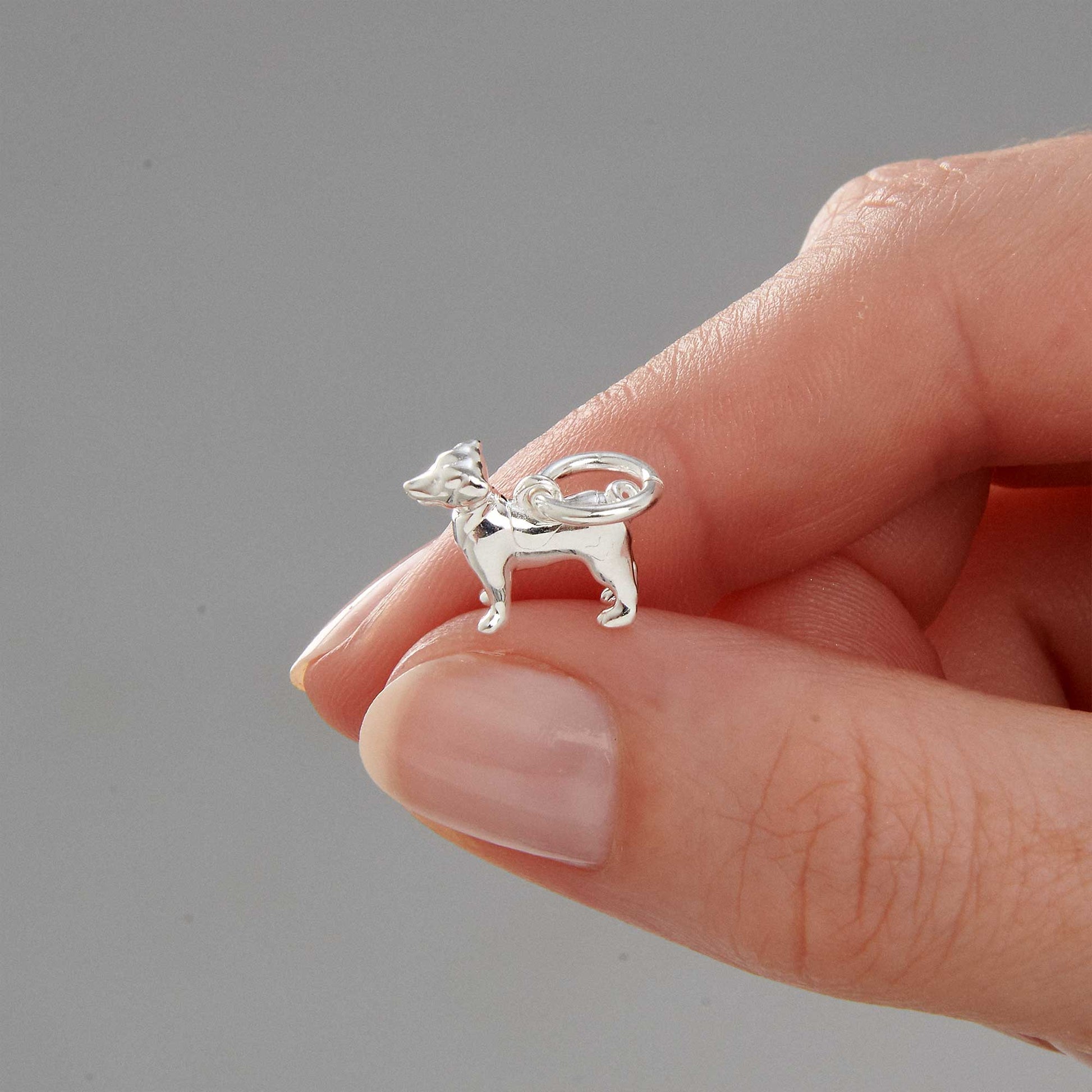 Jack Russell silver dog breed solid sterling silver dog charm for bracelet Scarlett Jewellery Ltd