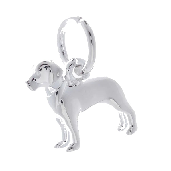 Labrador drakes head dog silver charm pendant scarlett jewellery