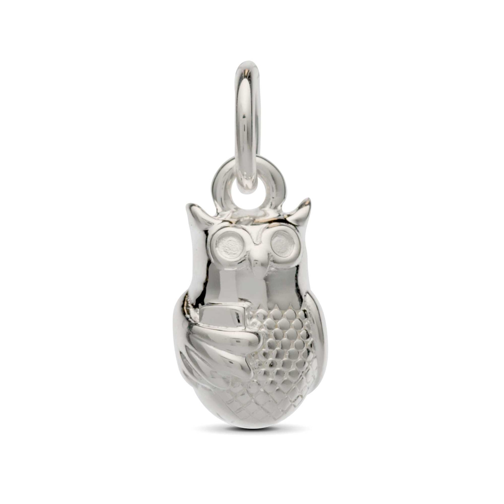 silver owl charm with book gift for passing exams graduation scarlett jewellery