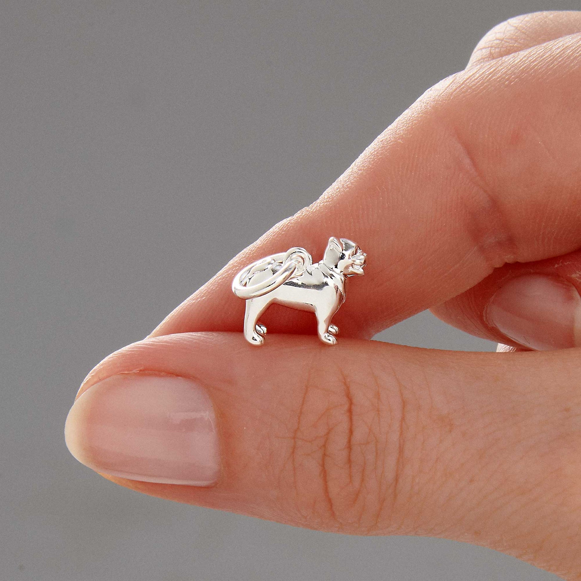 Pug dog breed solid sterling silver dog charm for bracelet Scarlett Jewellery Ltd