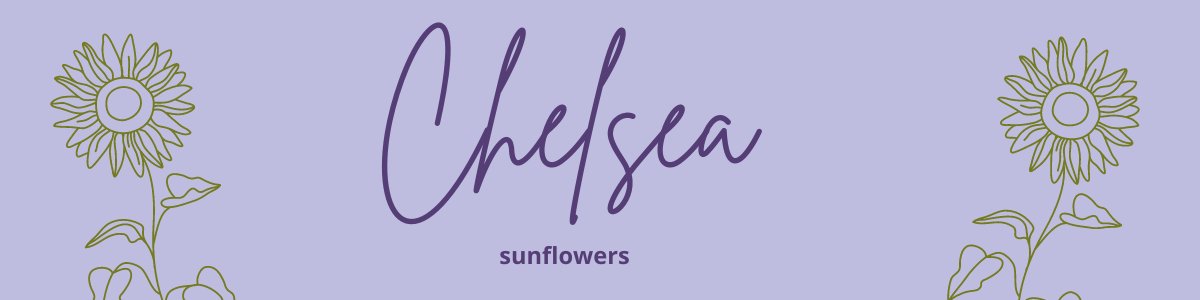 Chelsea Sunflowers