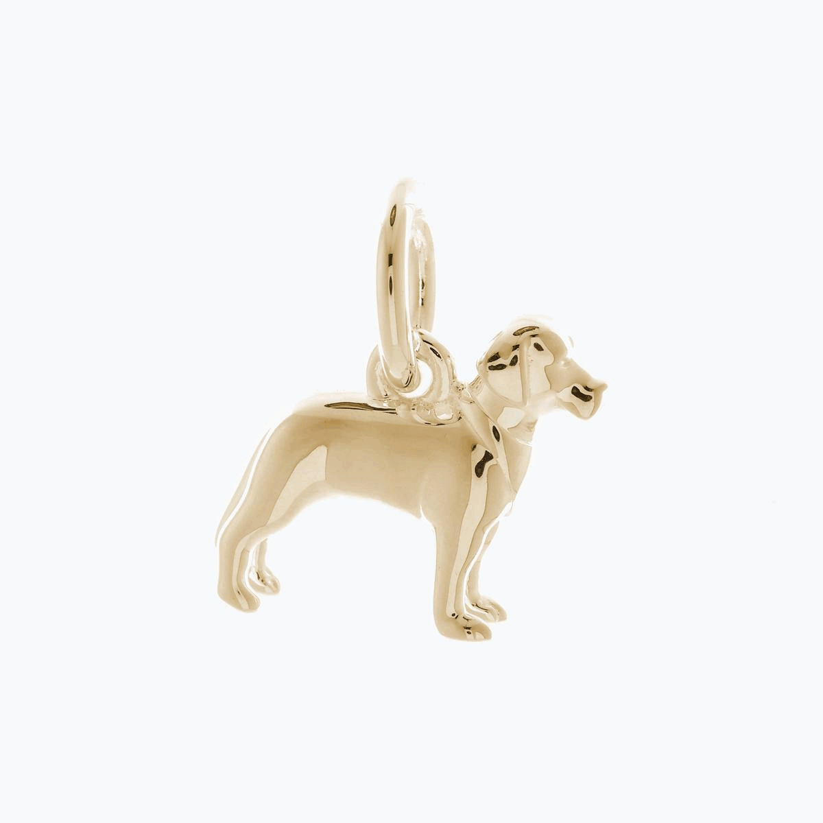solid gold labrador dog charm for bracelet or necklace