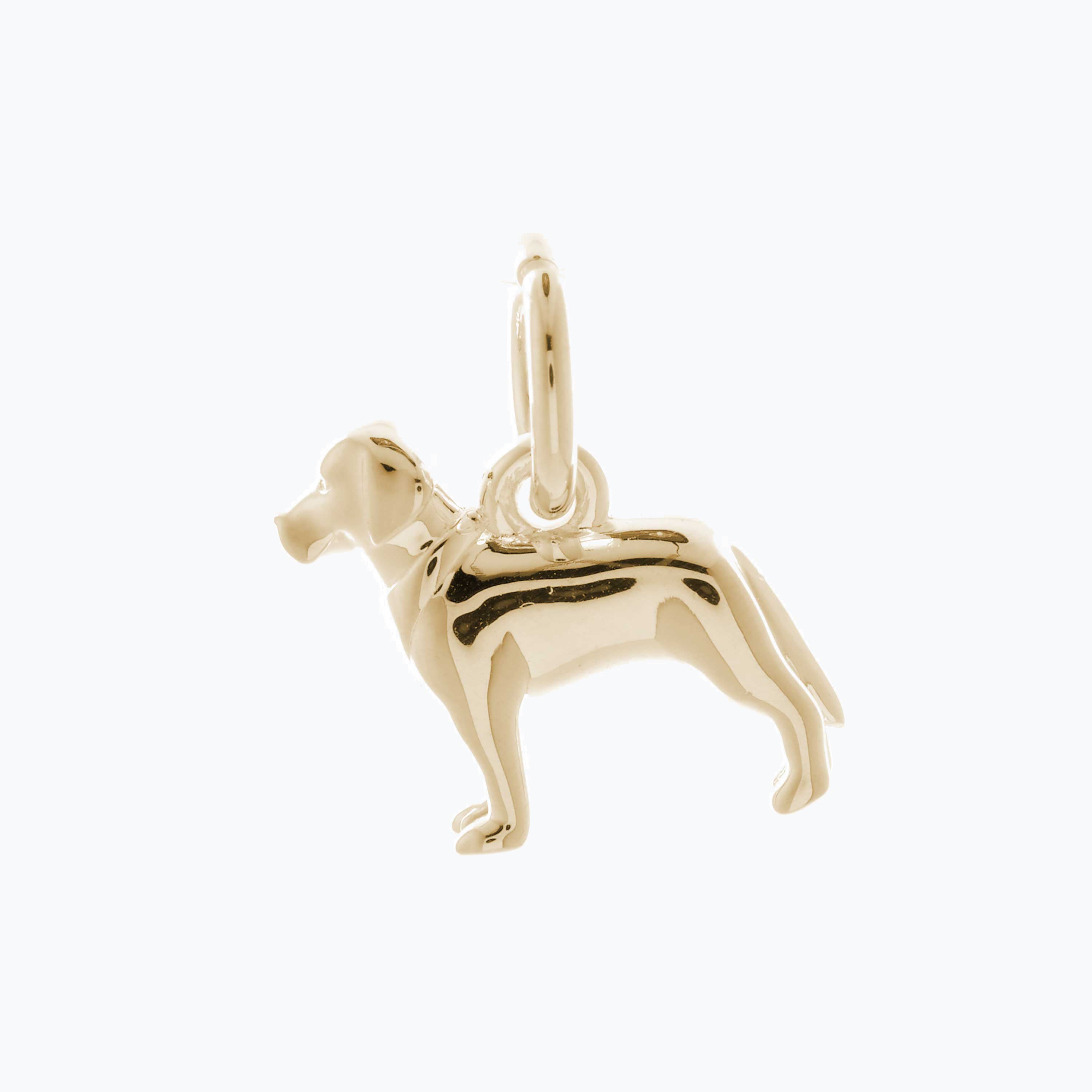 Solid 9ct gold drakes head Labrador charm with tiny bandana (optional), perfect for a charm bracelet or necklace.