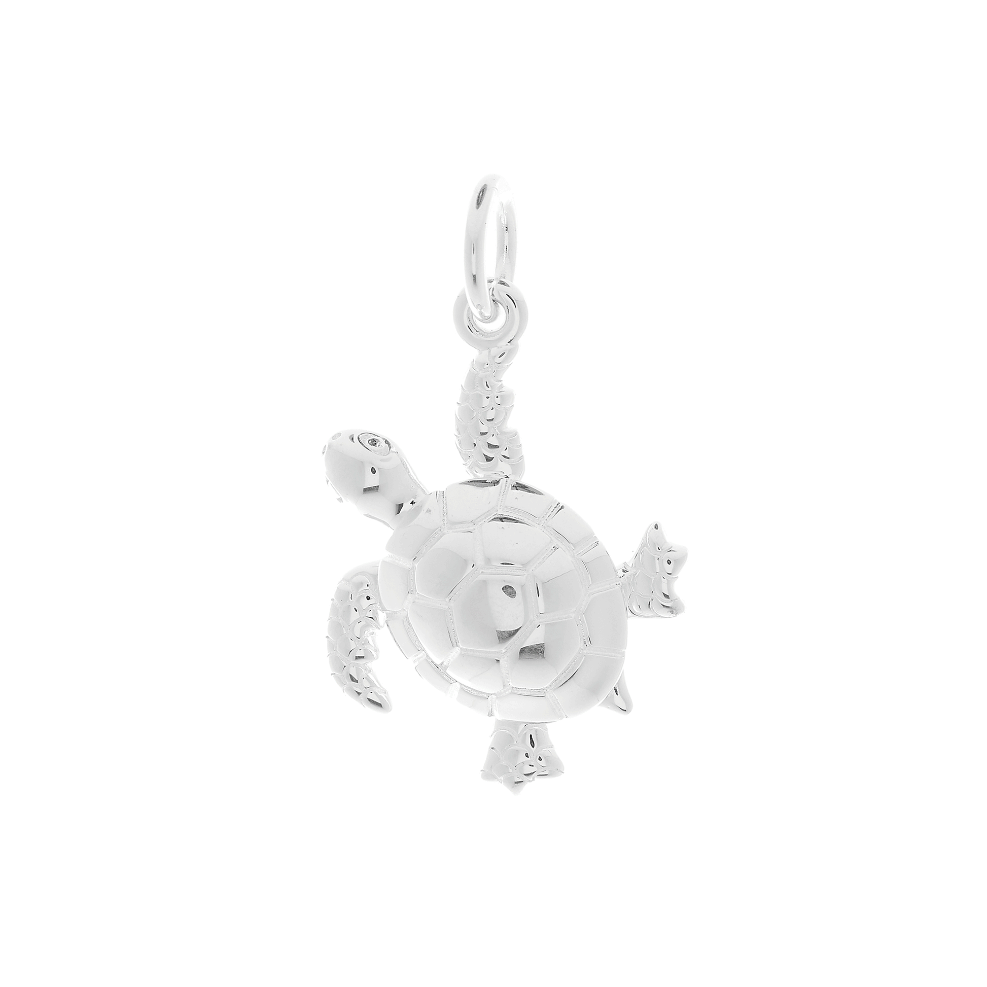 silver turtle charm for bracelet or necklace scarlett jewellery 360 view