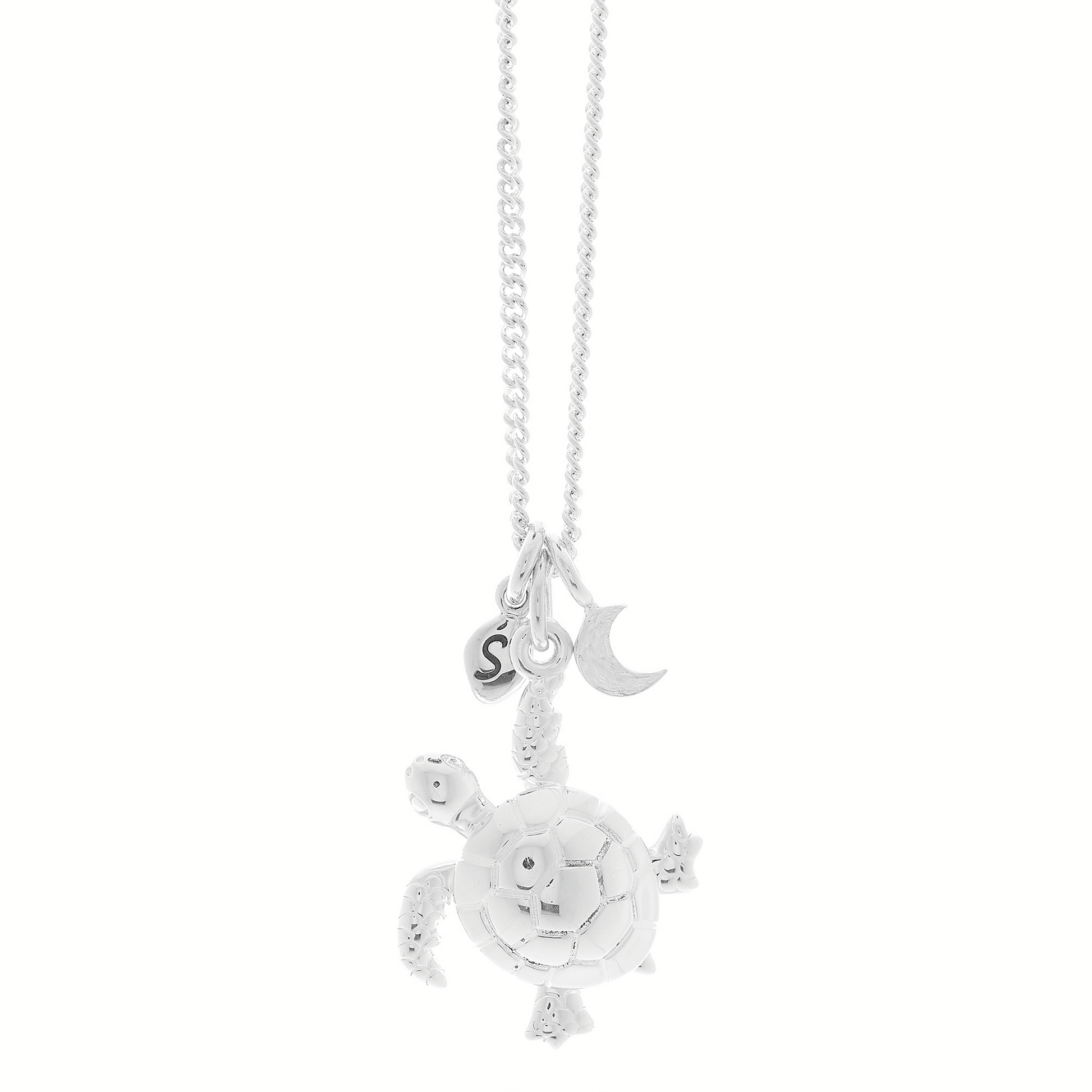 silver turtle moon and pebble necklace 360 view