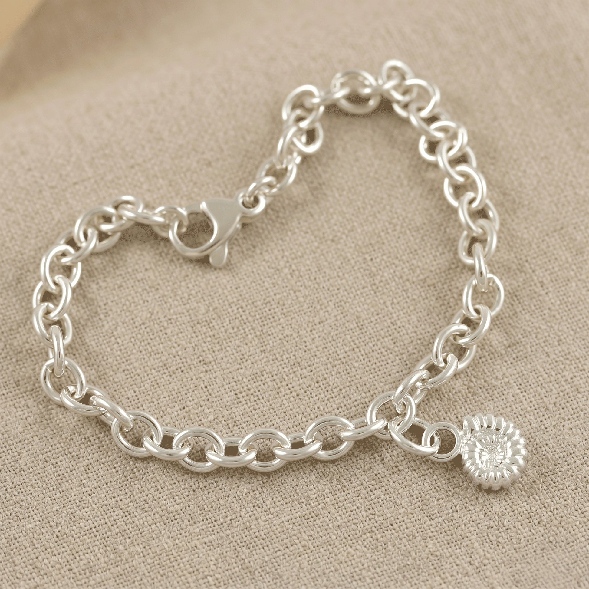 ammonite charm bracelet on brown background