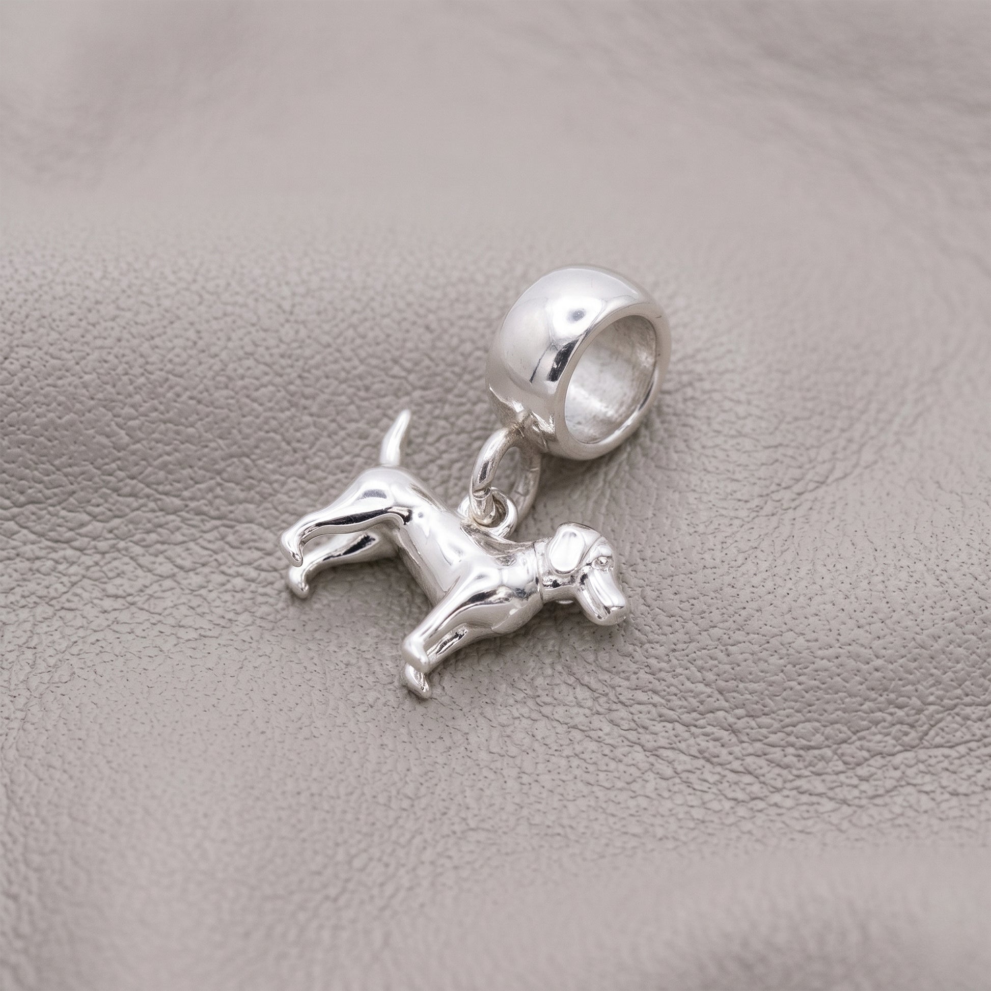 Silver dog charm on a textured gray background