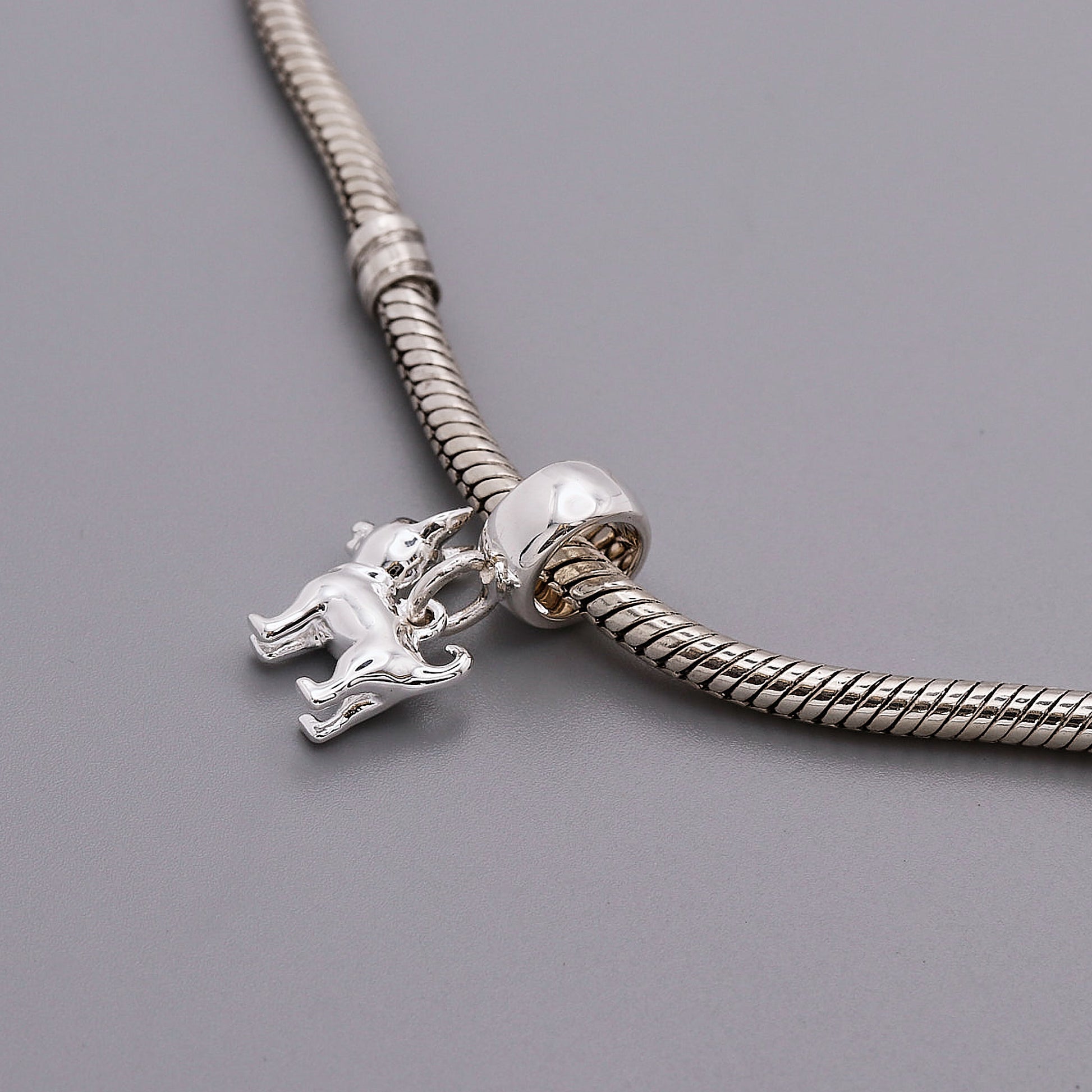 silver chihuahua charm on charm carrier pandora compatible