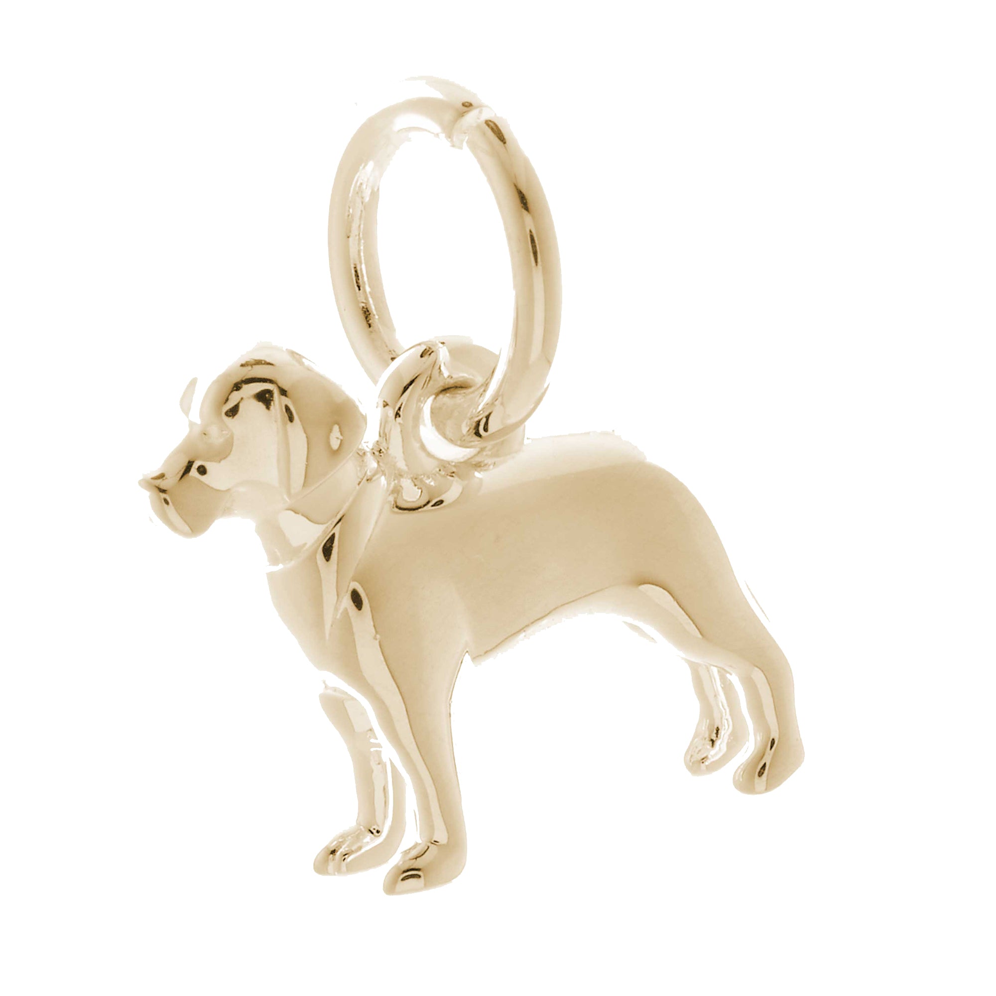 Solid 9ct gold drakes head Labrador charm with tiny bandana (optional), perfect for a charm bracelet or necklace.