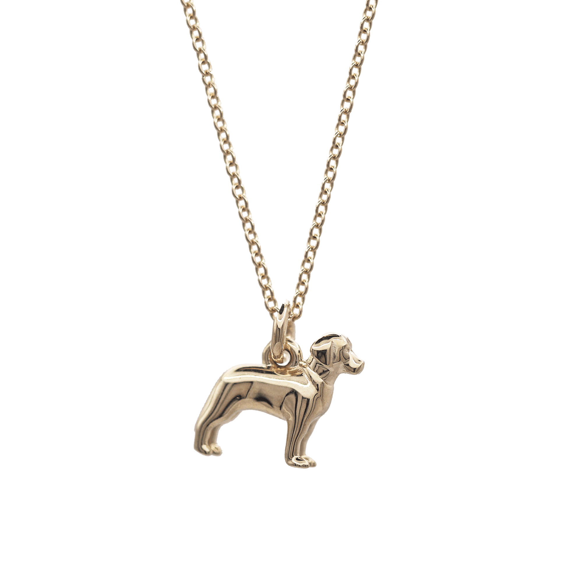 solid gold labrador dog necklace