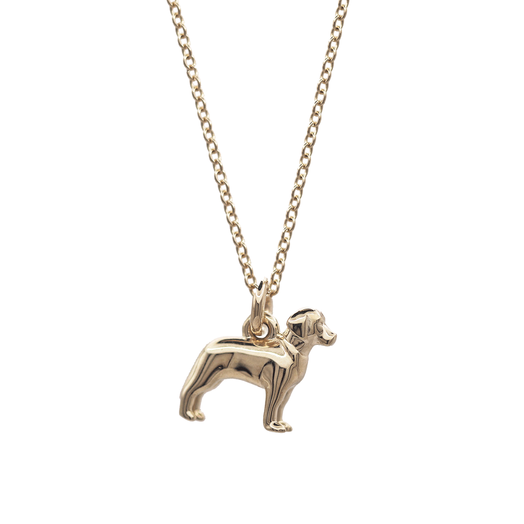 solid gold labrador dog necklace