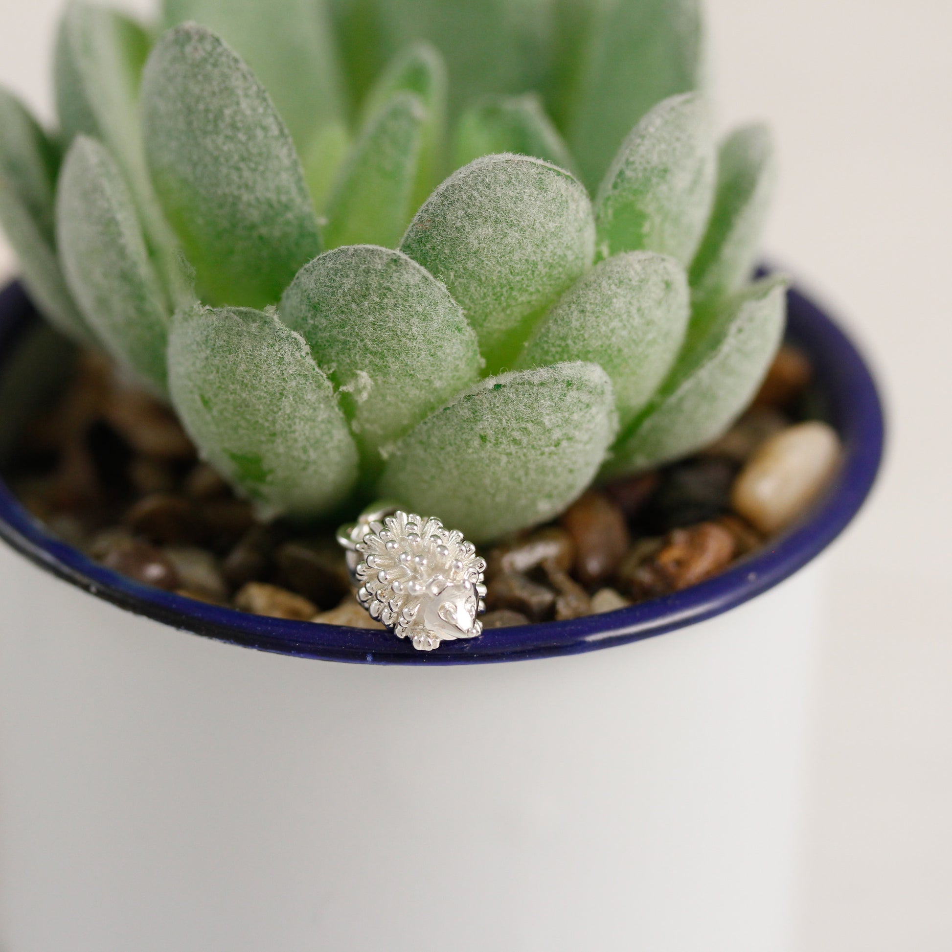 silver hedgehog charm face