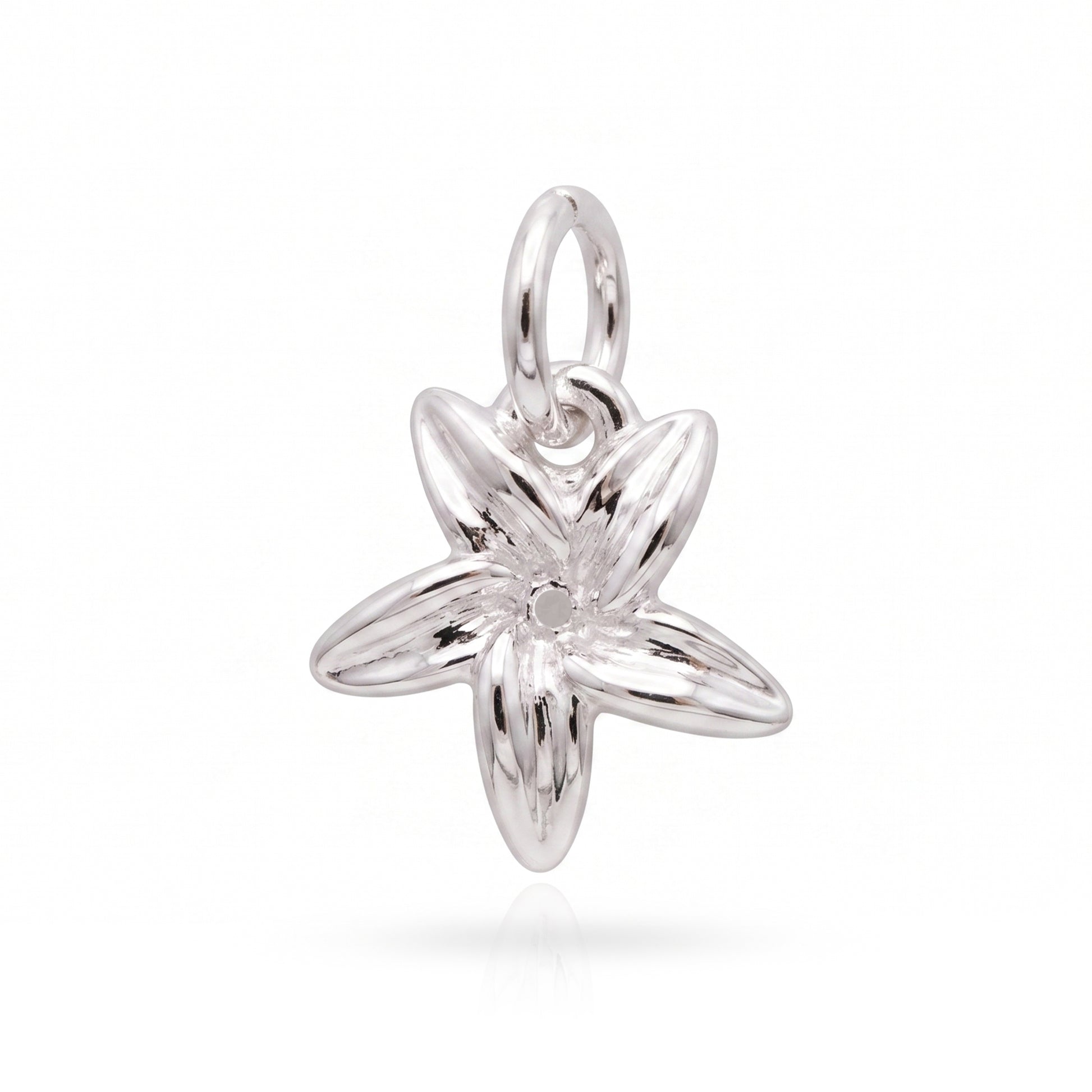 Silver flower pendant on a white background