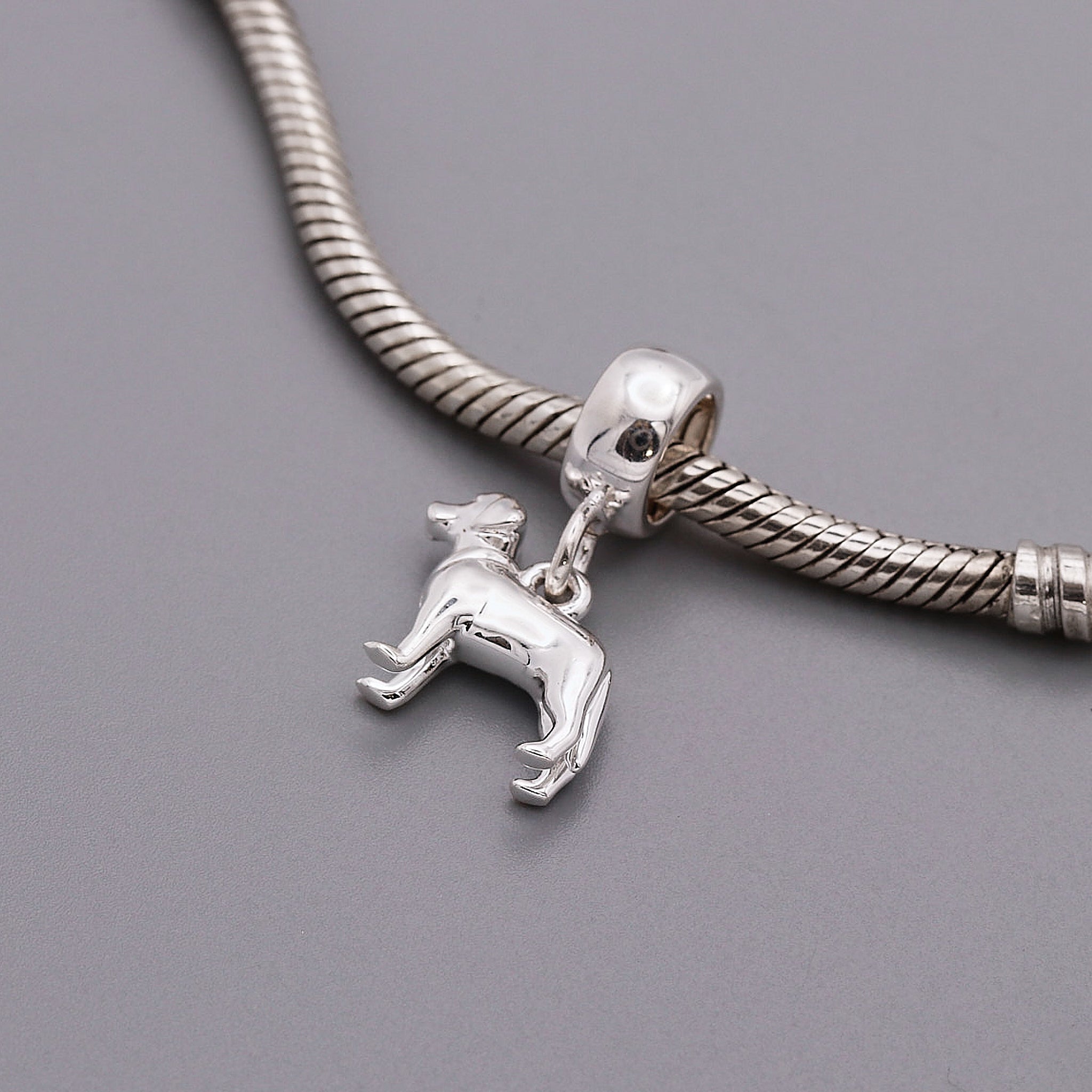 Silver dog charm on a snake chain against a gray background