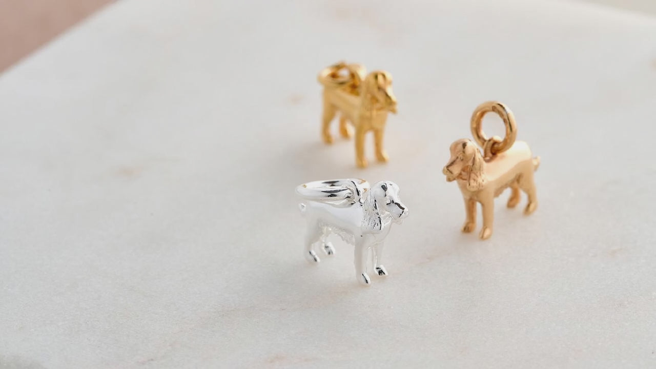 Load video: Buy 2 get one free silver charms