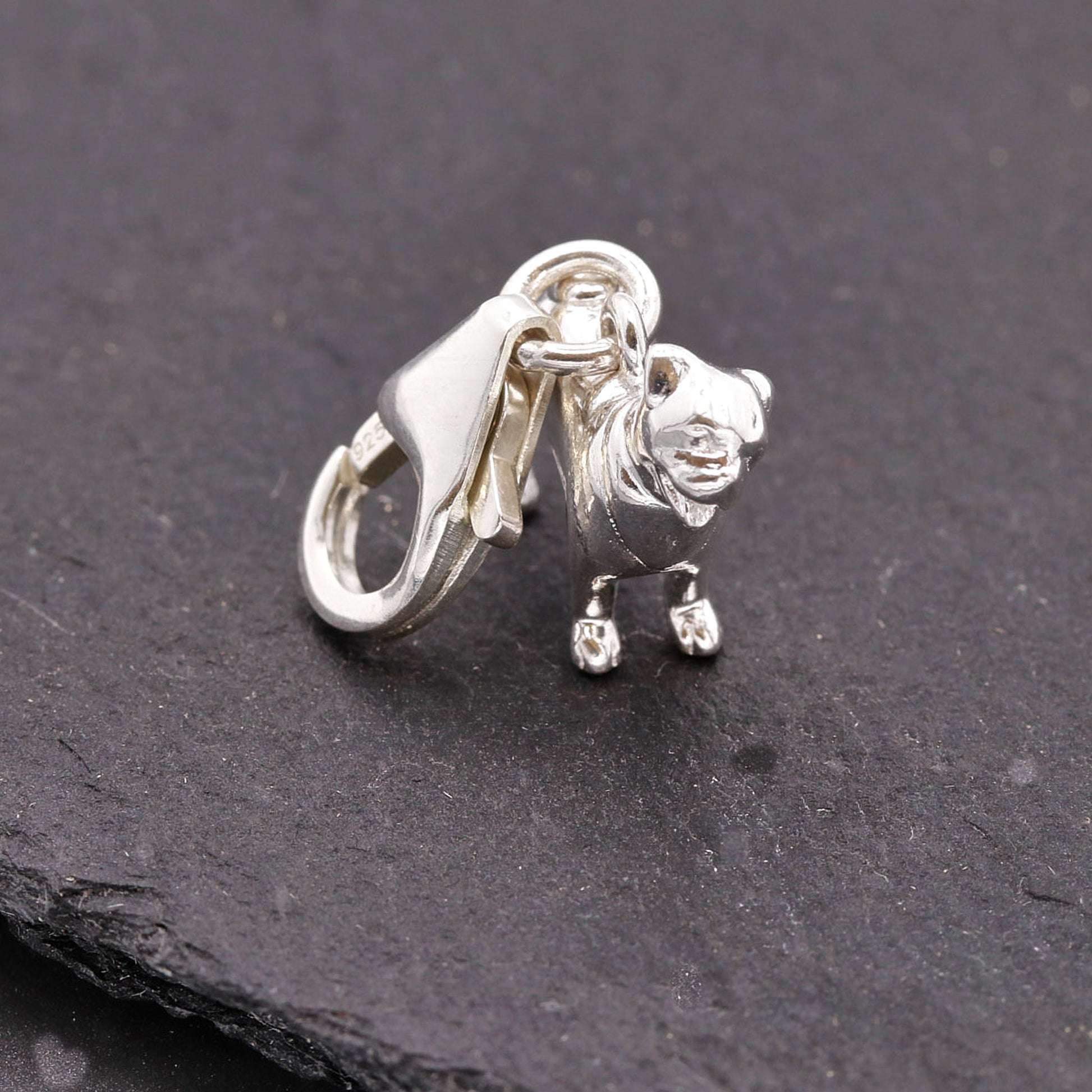 Silver dog-shaped earring on a dark stone surface