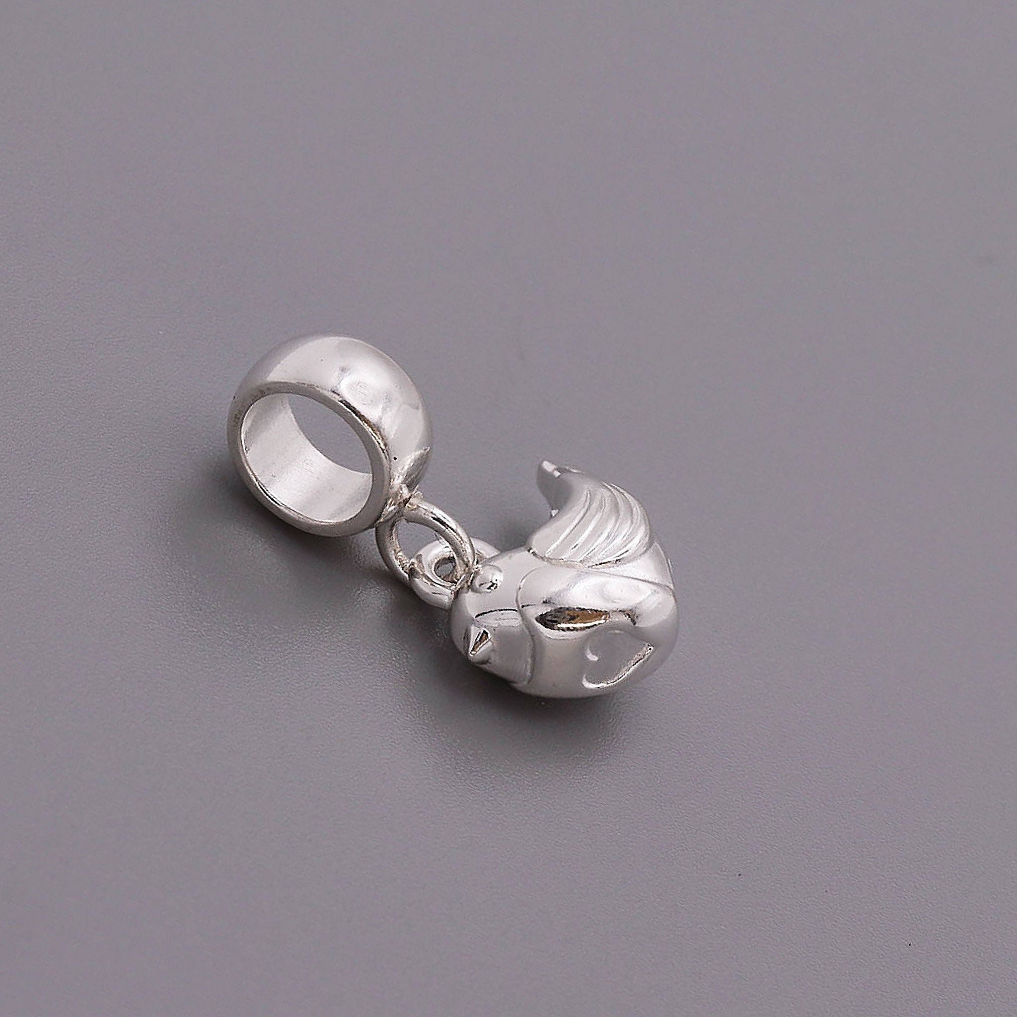 Robin Silver Charm