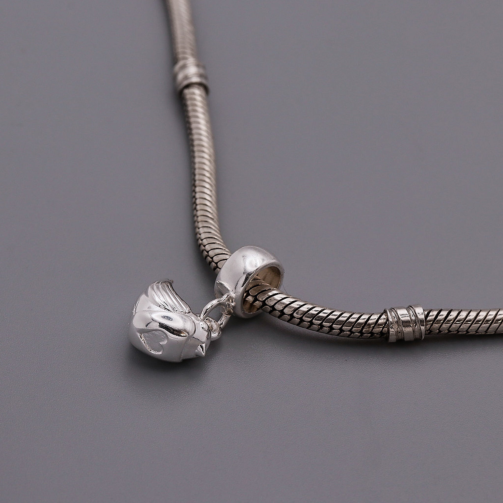 Robin Silver Charm