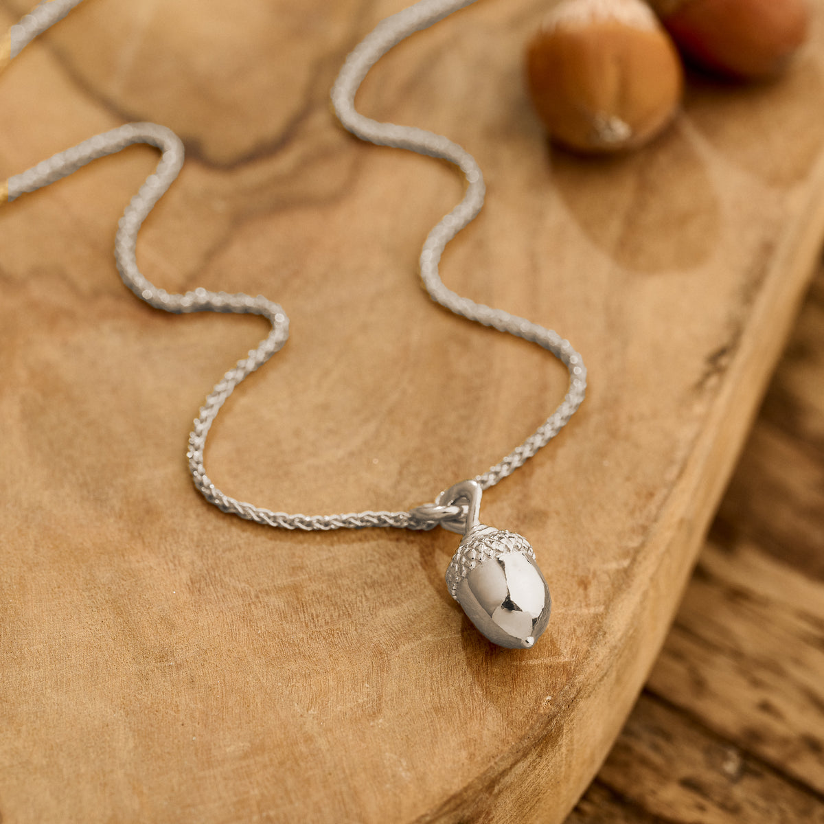 Acorn Necklace for New Beginnings - Scarlett Jewellery Collection