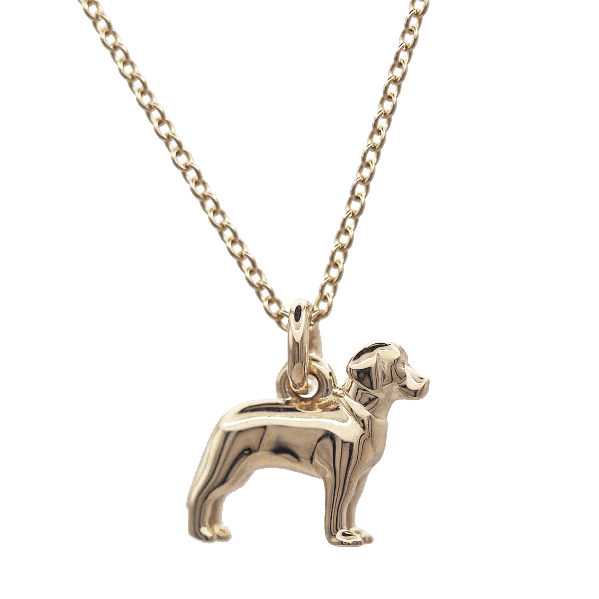 Gold labrador dog-shaped pendant on a chain against a white background