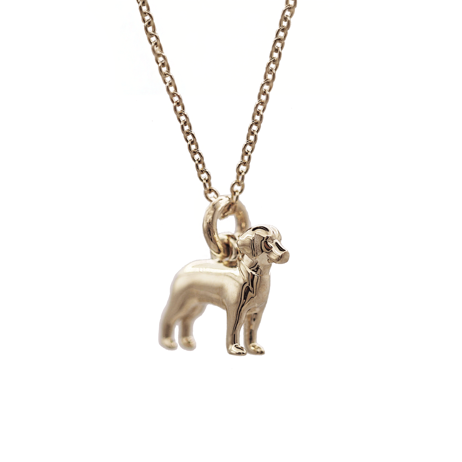 Gold dog pendant on a chain against a white background