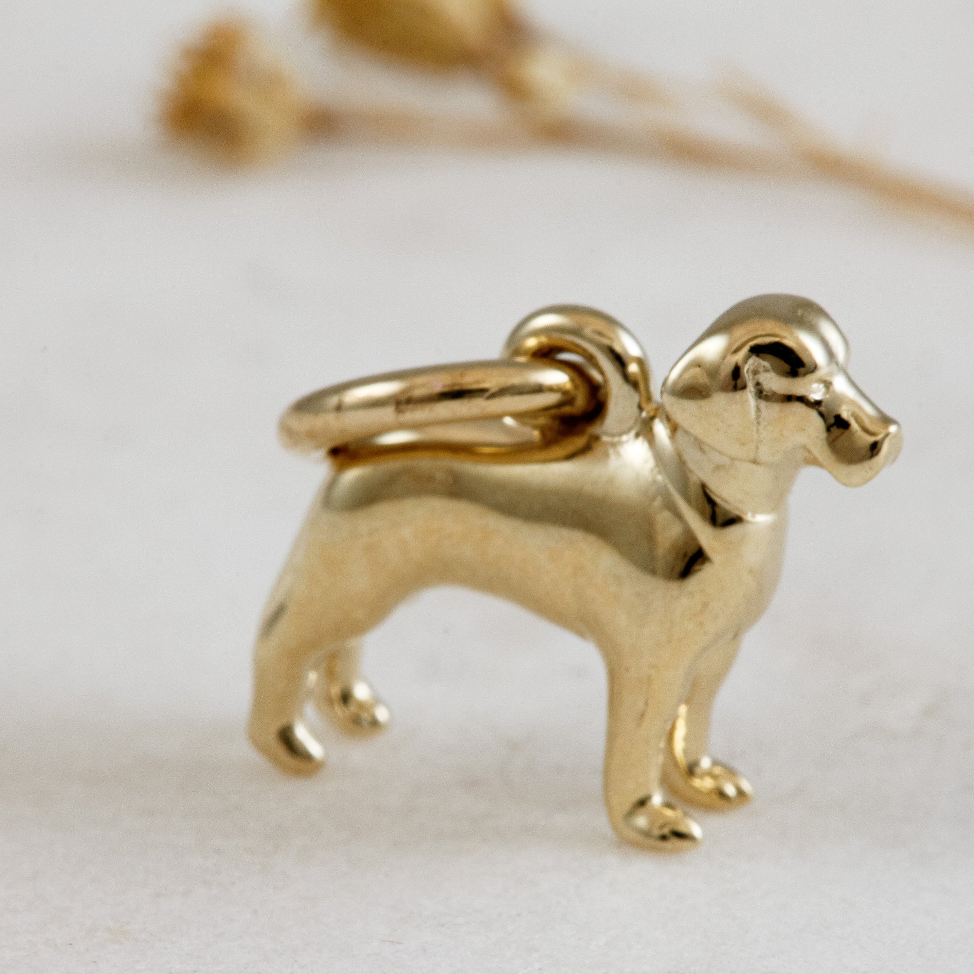labrador solid gold dog charm for a necklace or bracelet