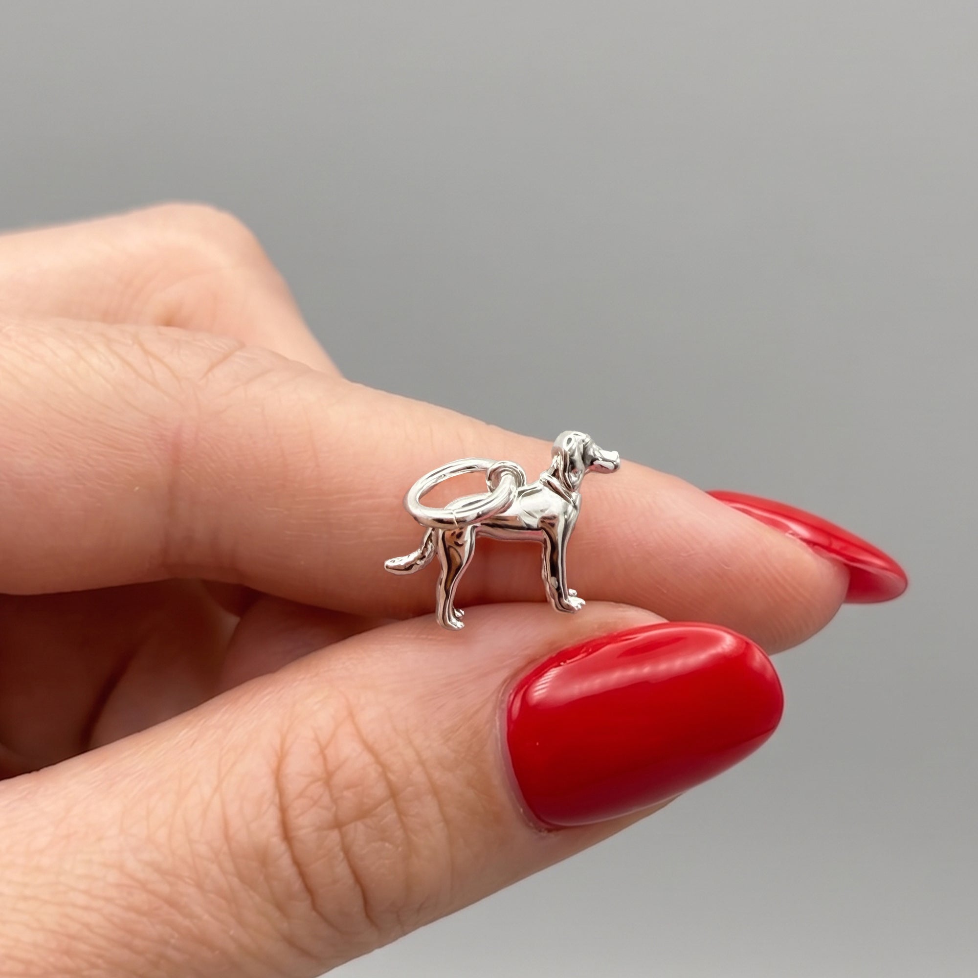 Silver dog-shaped charm held between fingers with red nail polish on a gray background