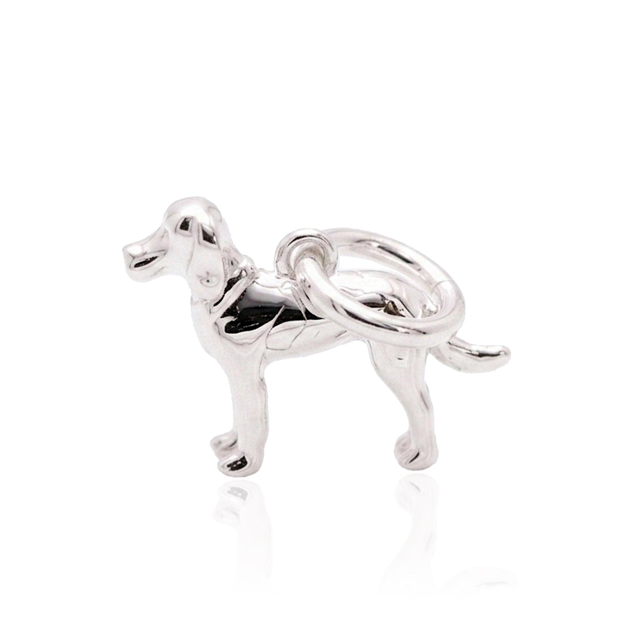 Springer Spaniel Silver Charm