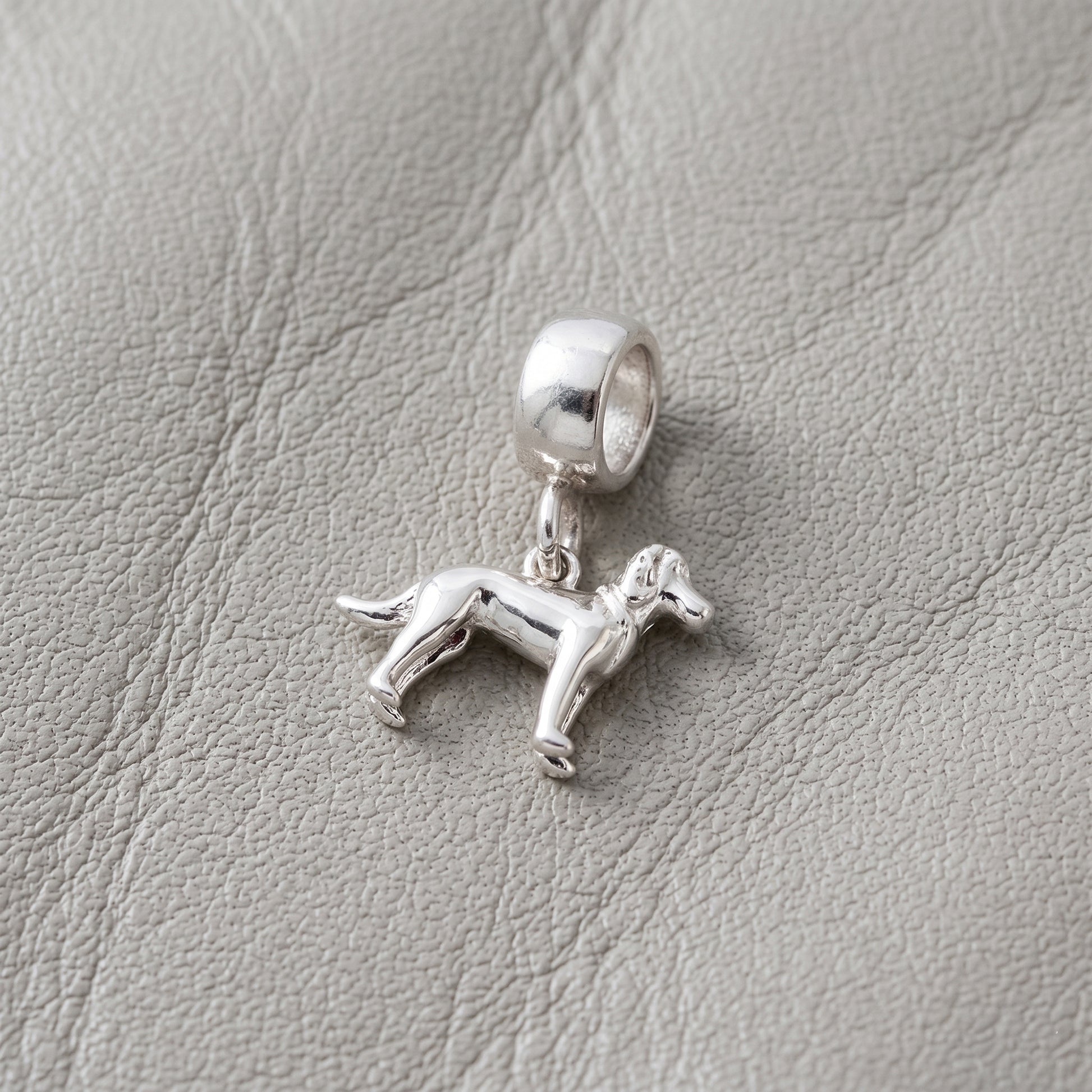 Silver dog charm on a gray leather surface