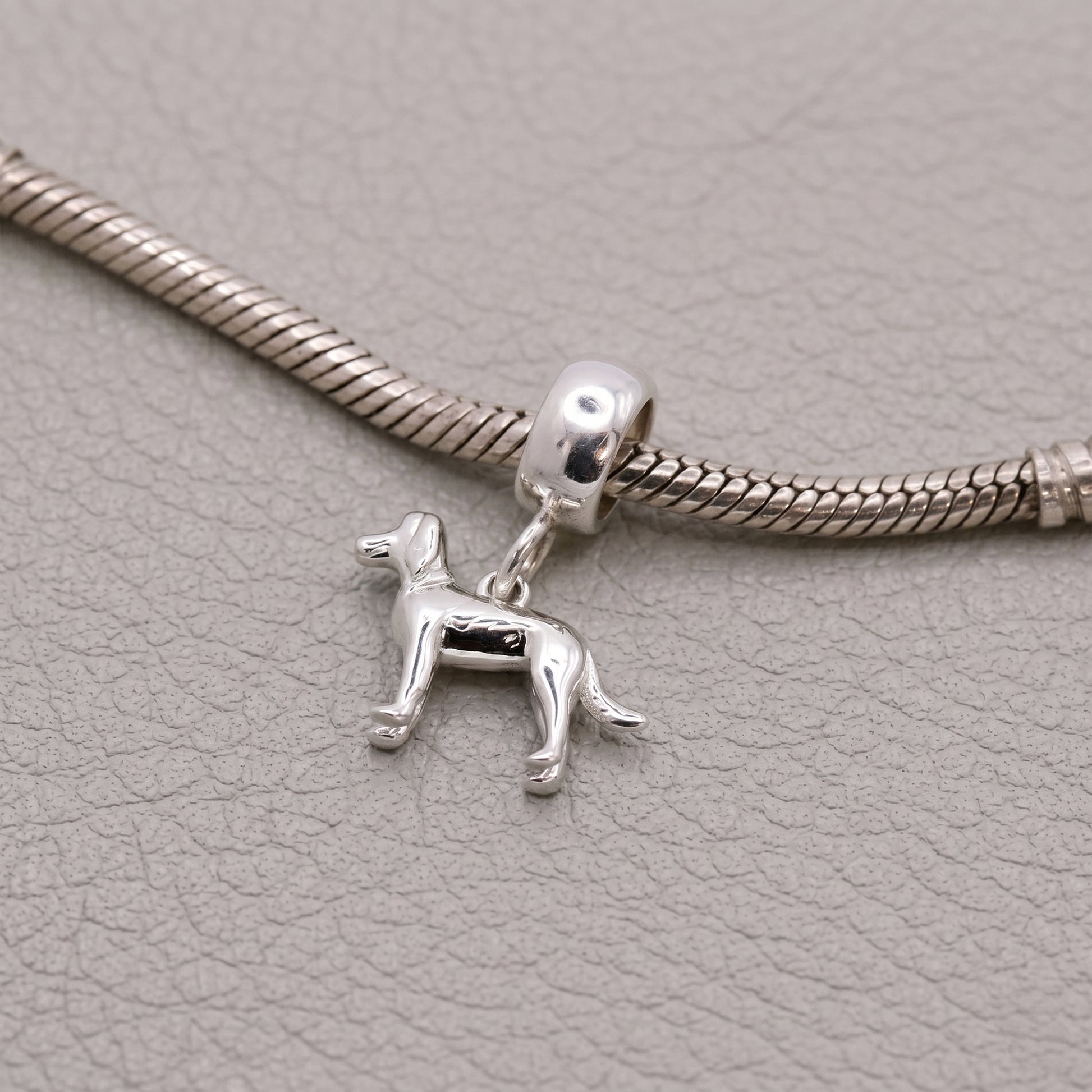 Silver dog charm on a snake chain against a gray textured background