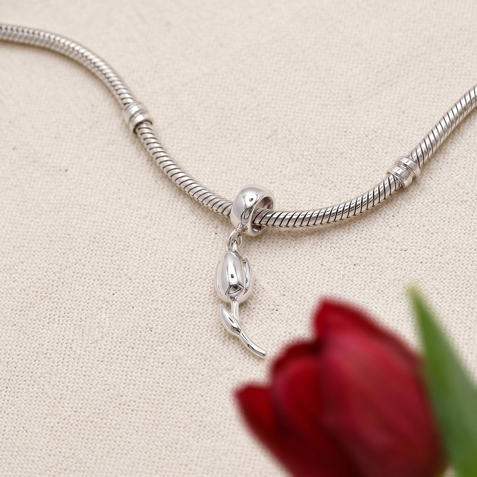 Silver snake chain bracelet with a tulip flowr charm on a beige fabric background with a red rose.