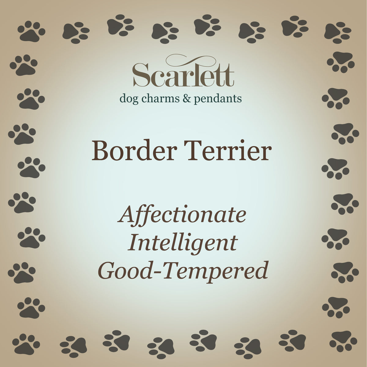 Collier d&#39;étiquette de chien en argent personnalisé Border Terrier
