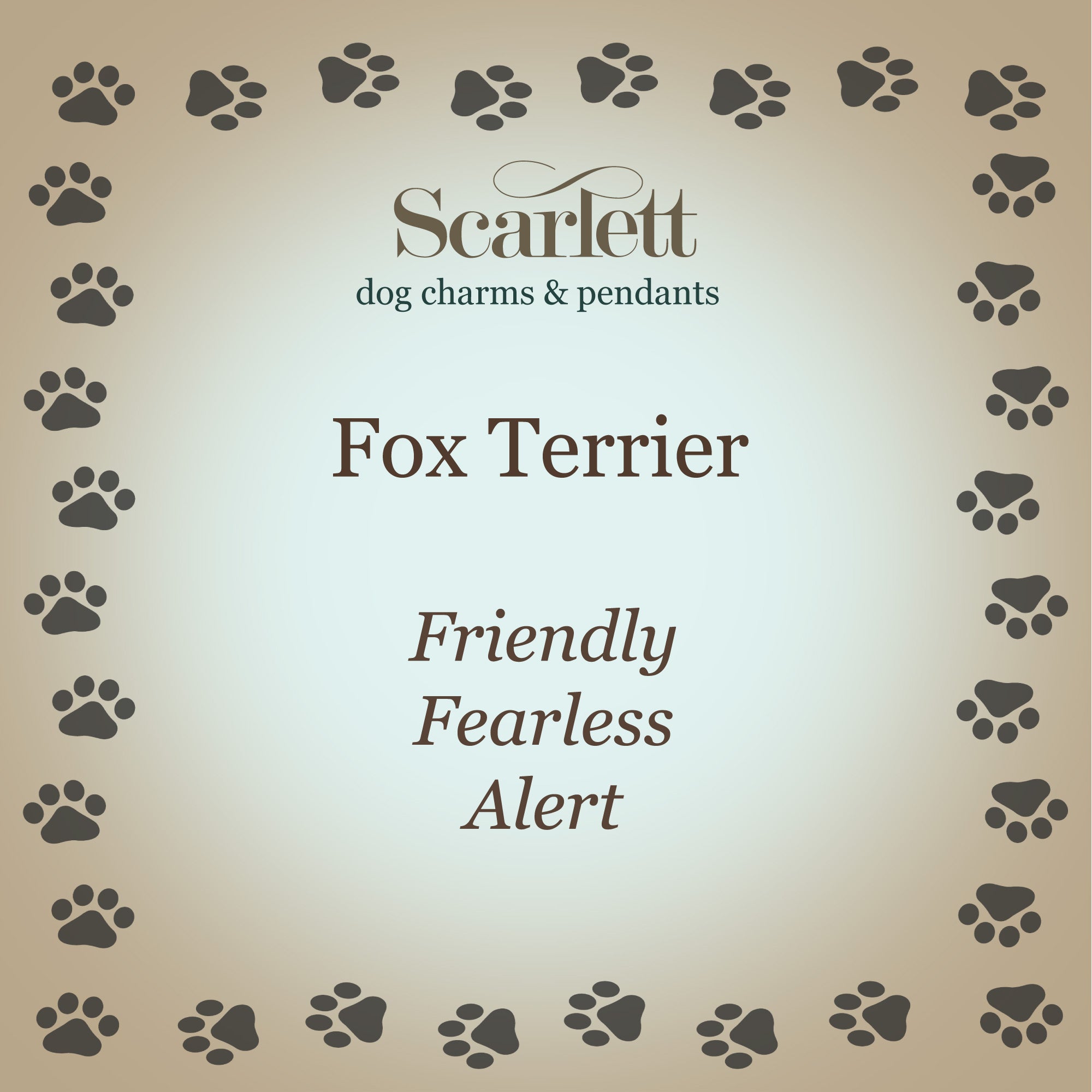 Collier d'étiquette de chien en argent personnalisé Fox Terrier