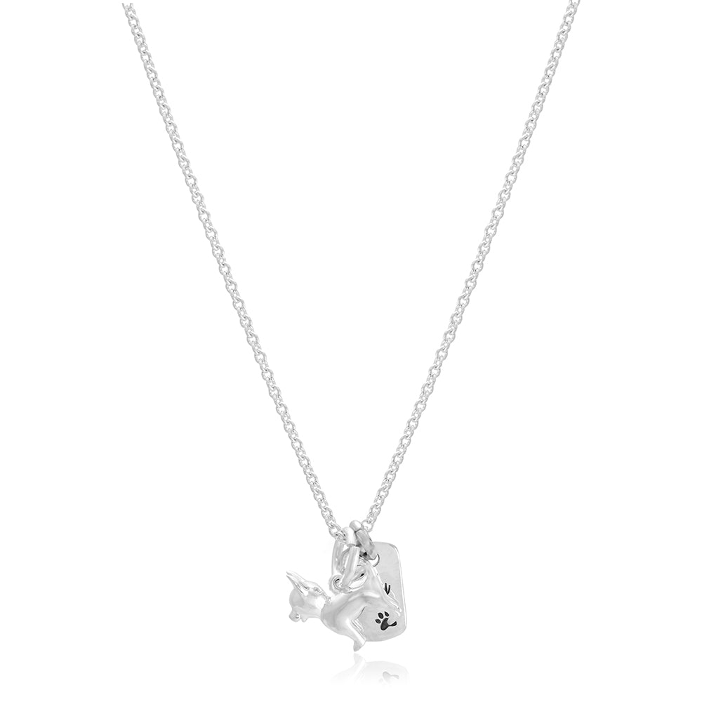 chihuahua silver dog necklace with personalised dog tag