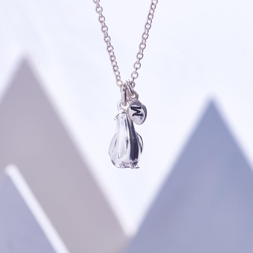 Personalised penguin and pebble necklace romantic gift girl to girlfriend boy to  girlfriend Scarlett Jewellery