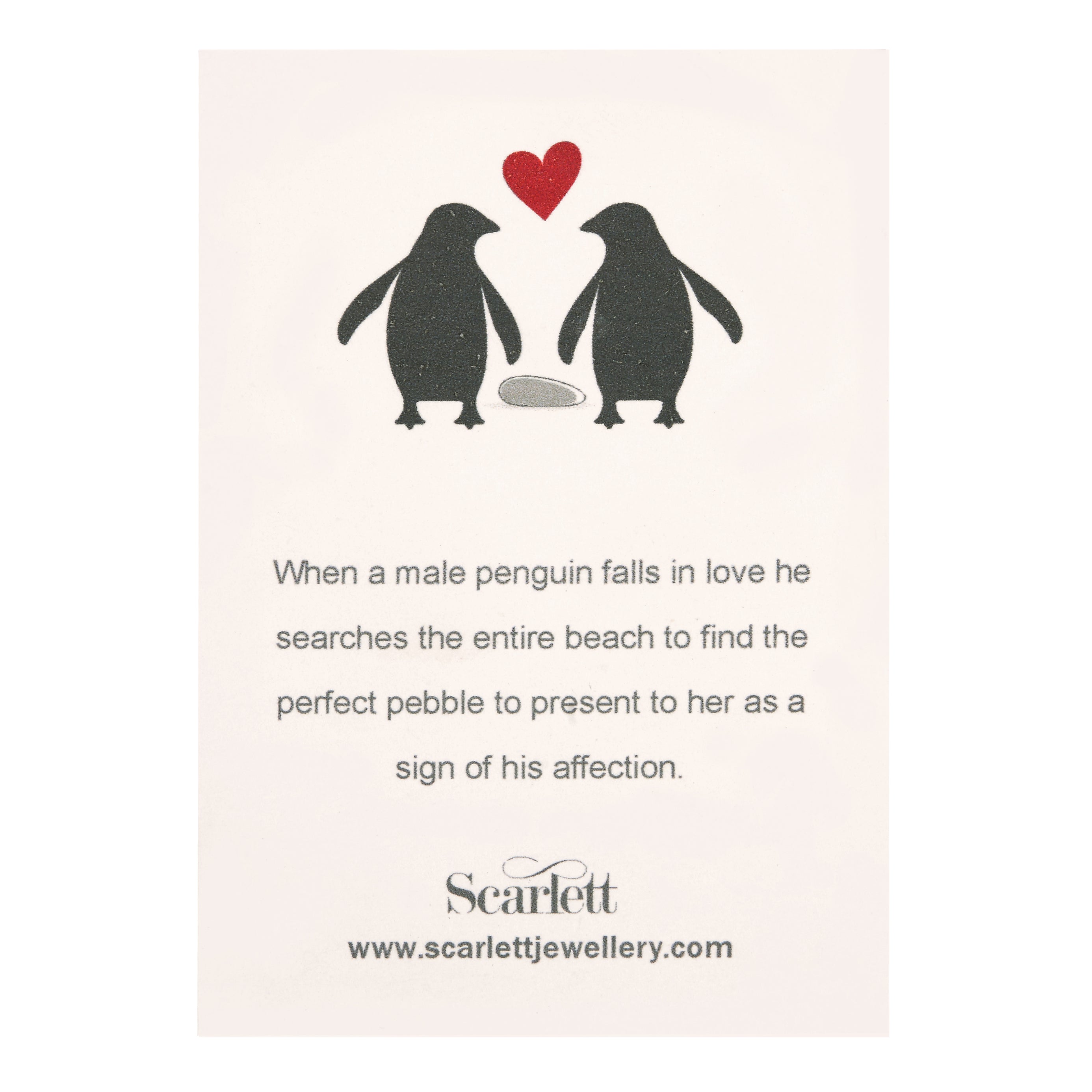 Personalised penguin and pebble necklace romantic gift girl to girlfriend boy to  girlfriend Scarlett Jewellery
