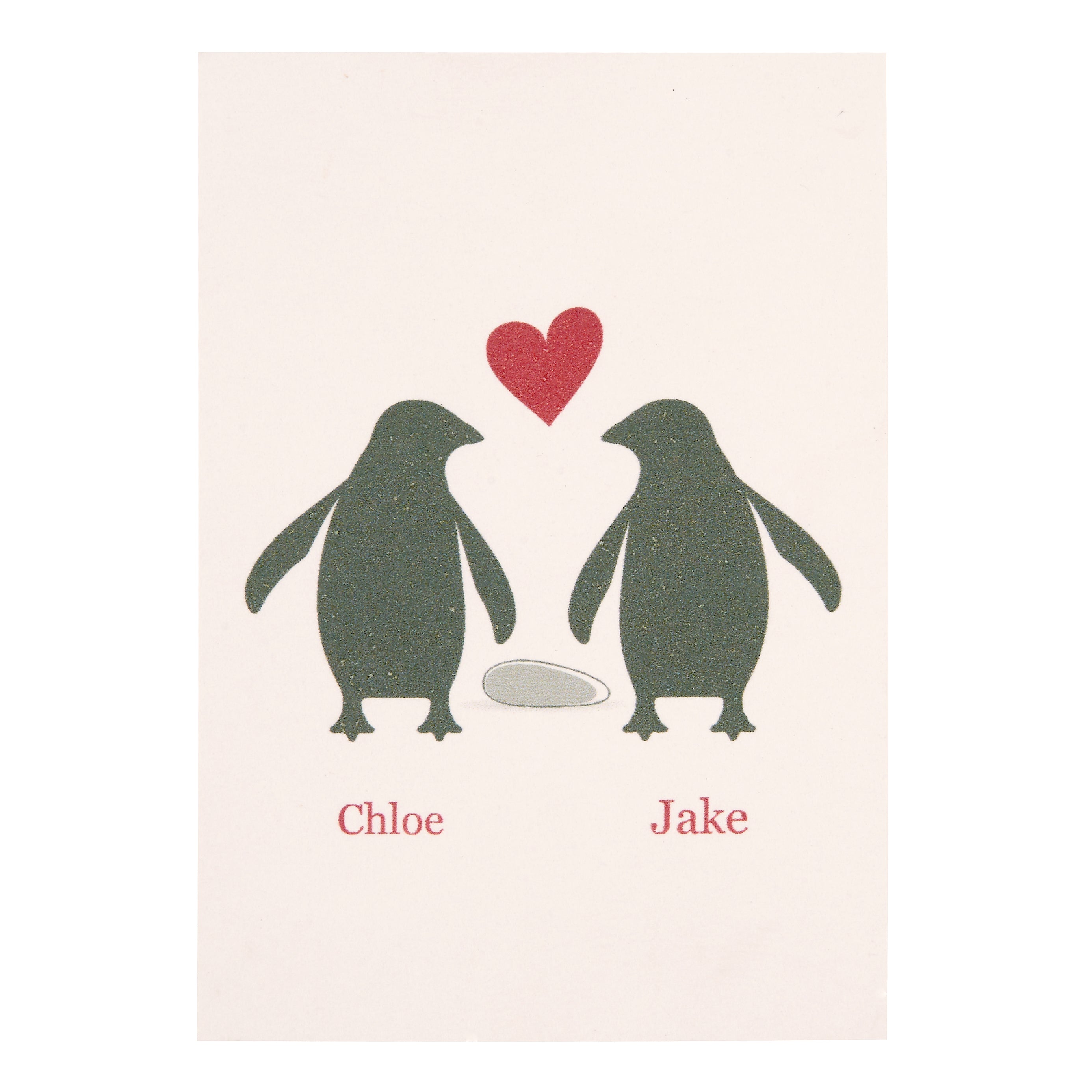 Personalised penguin and pebble necklace romantic gift girl to girlfriend boy to  girlfriend Scarlett Jewellery