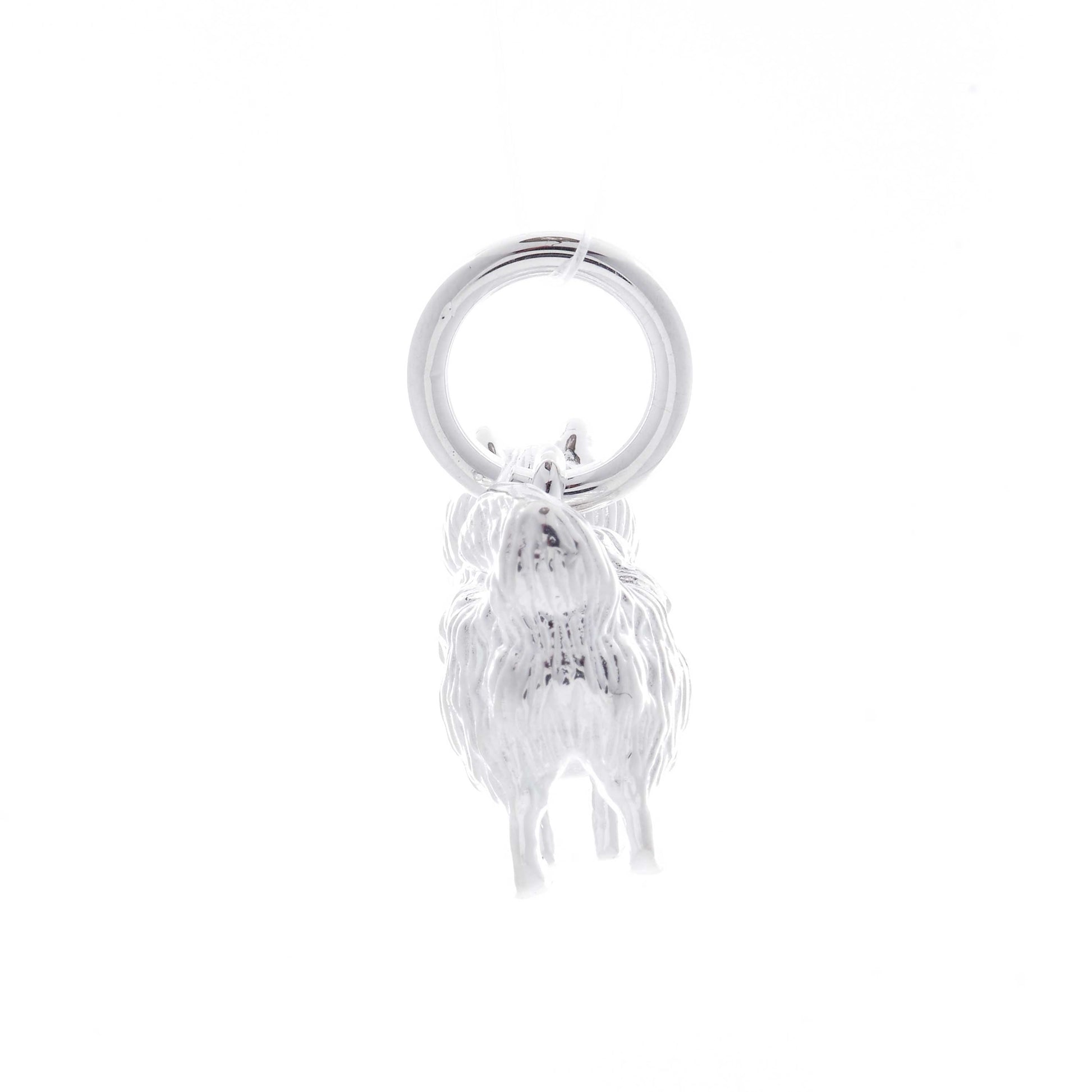 Pomeranian silver dog charm necklace engraved pet loss jewellery gift Scarlett Jewellery UK